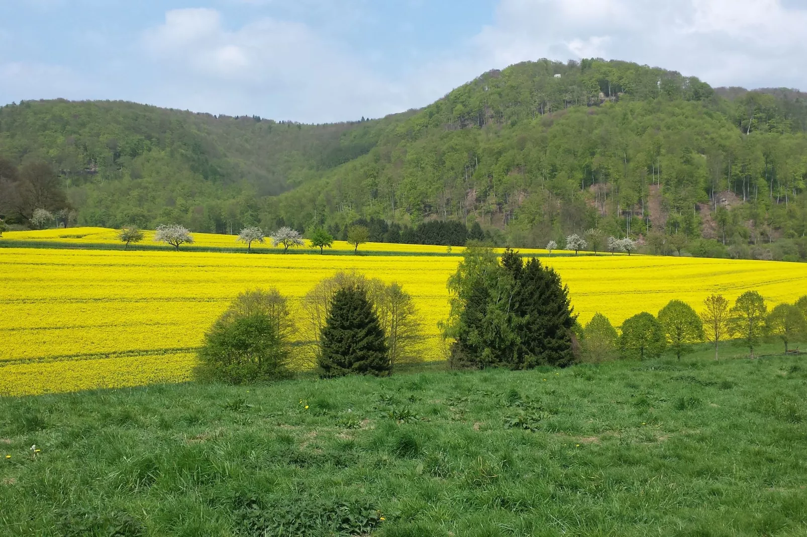 Landhaus Friedensthal-Gebieden zomer 1km