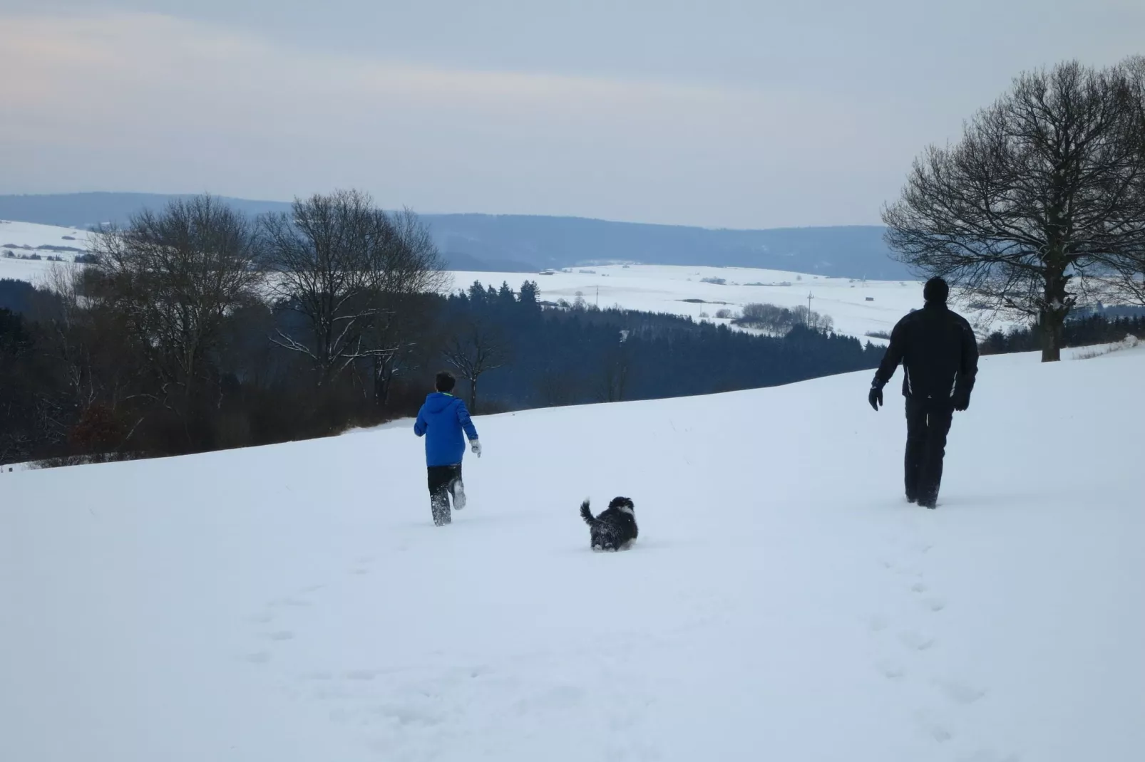Liesen-Gebied winter 1km