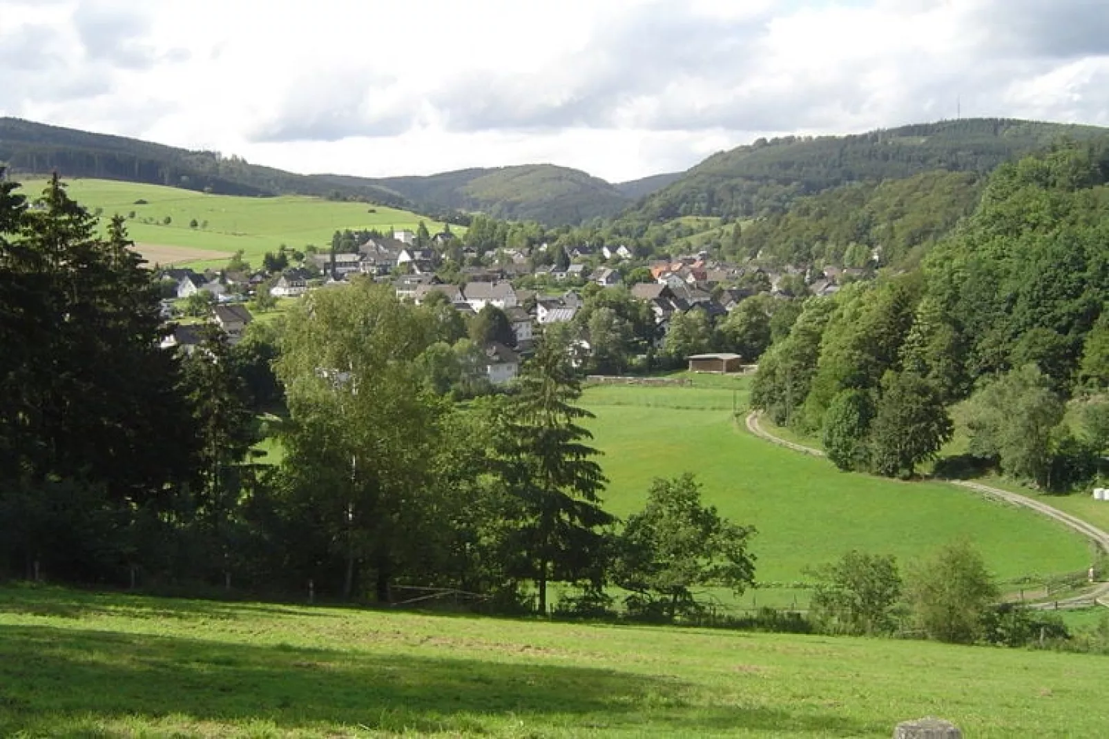 Liesen-Gebieden zomer 1km