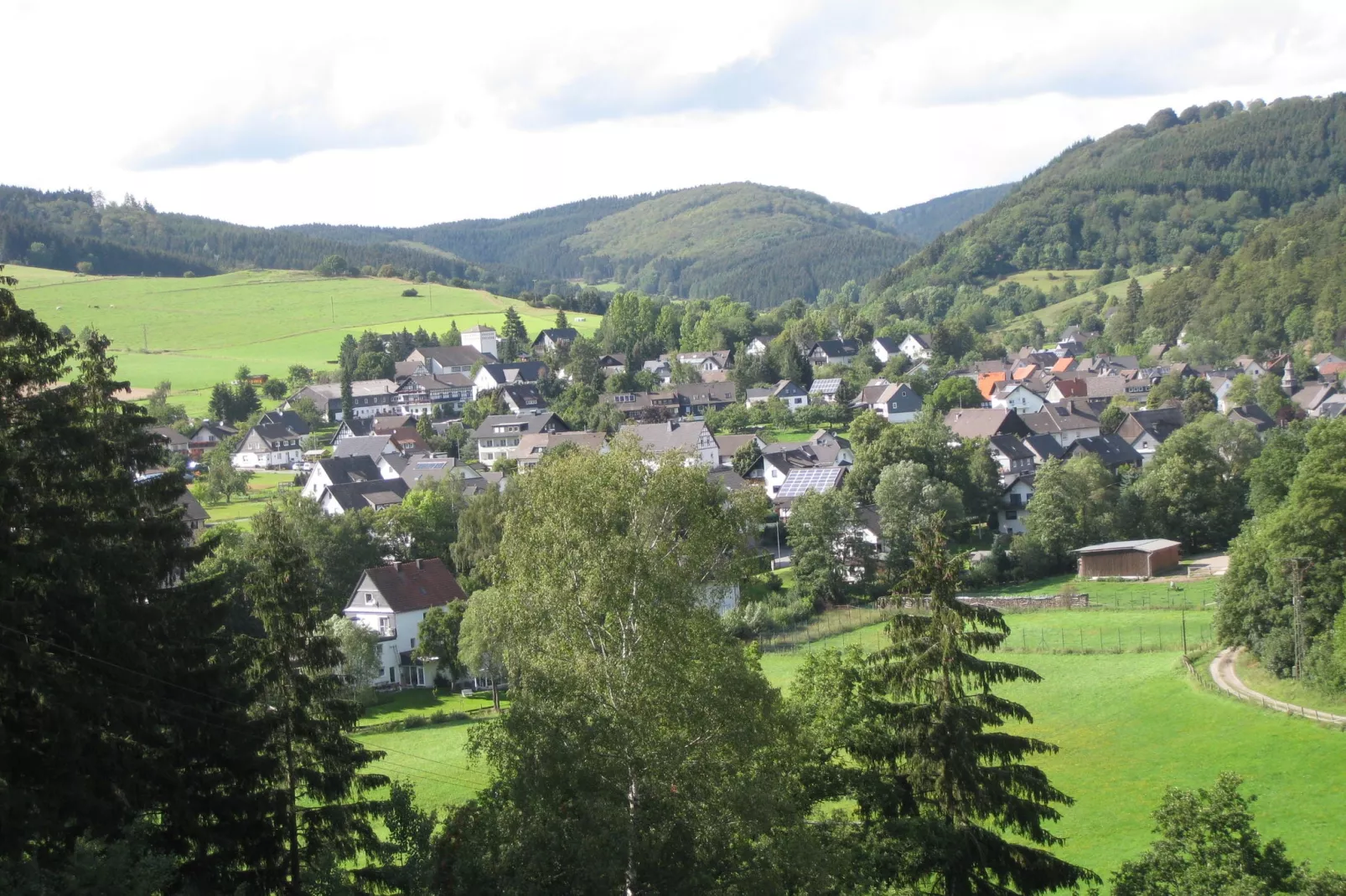 Liesen-Gebieden zomer 1km