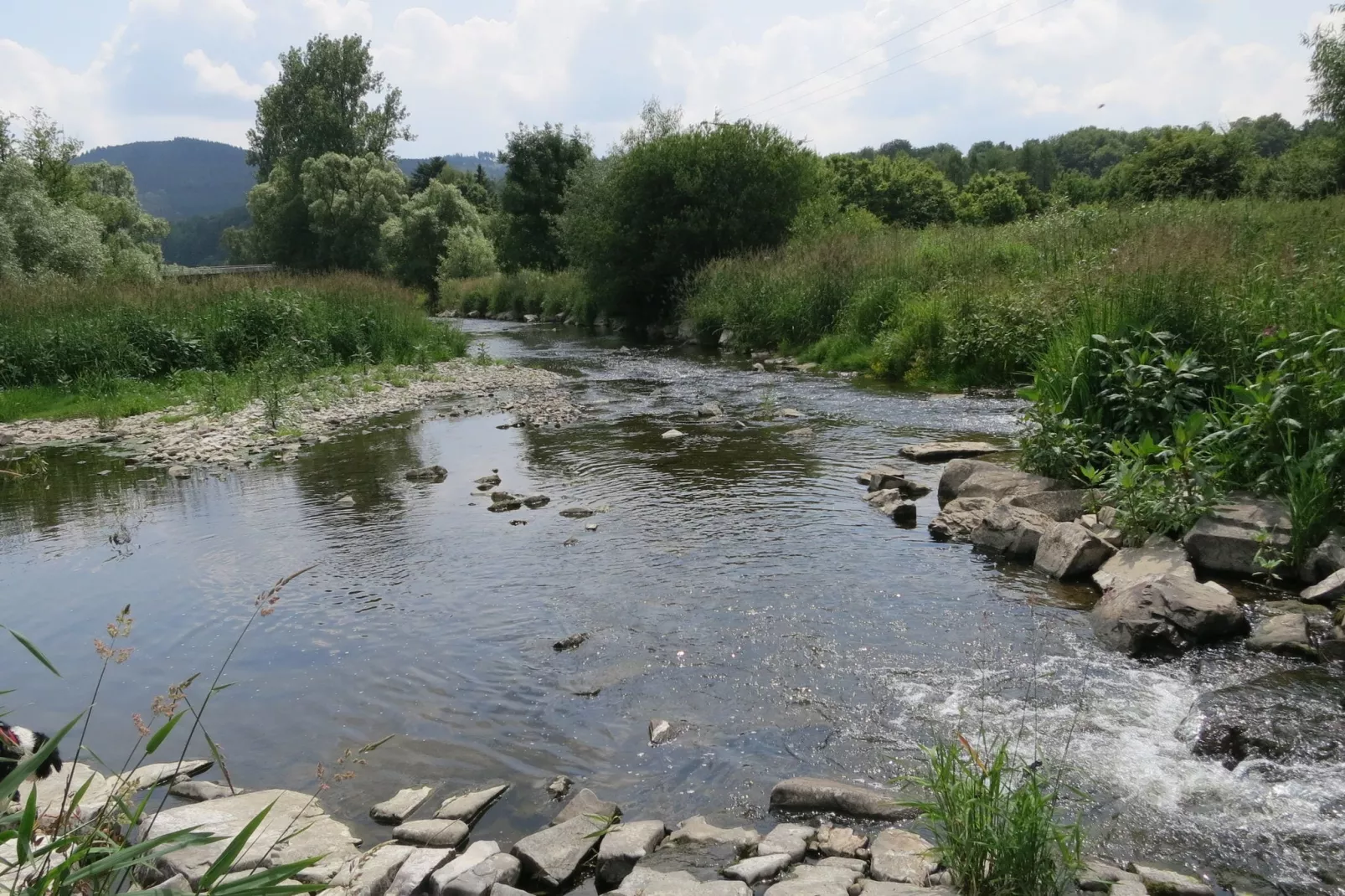 Liesen-Gebieden zomer 20km