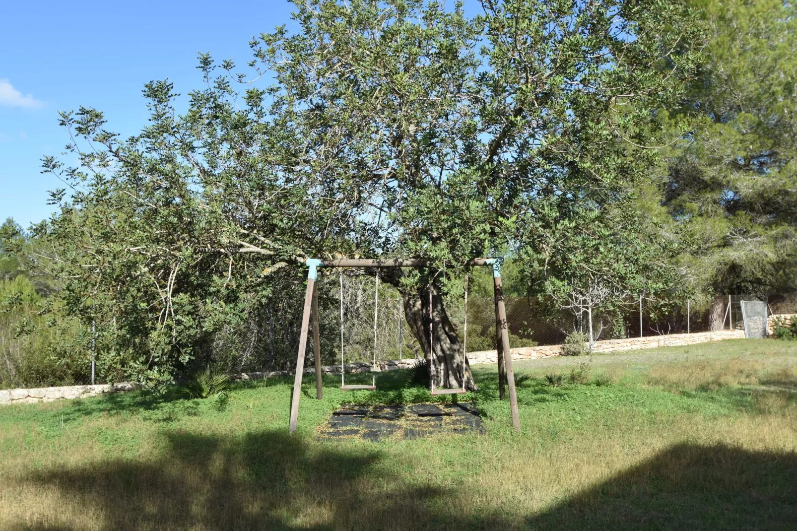 Can Daifa-Tuinen zomer