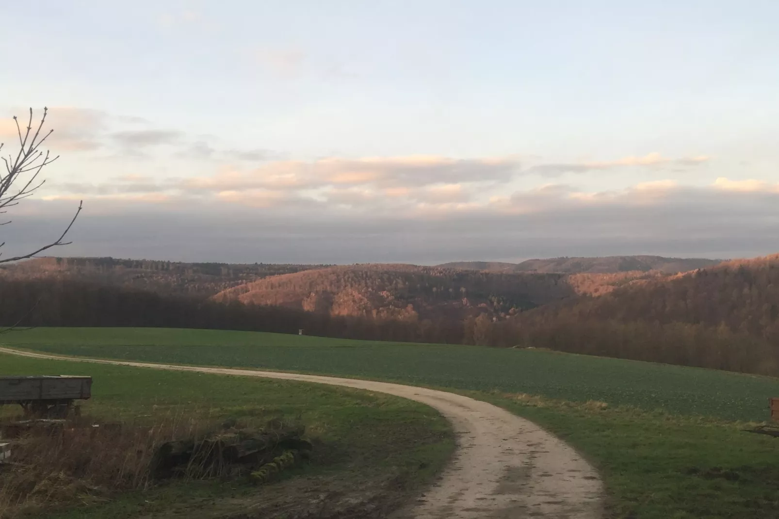 Het Zwaluwnest-Gebieden zomer 5km