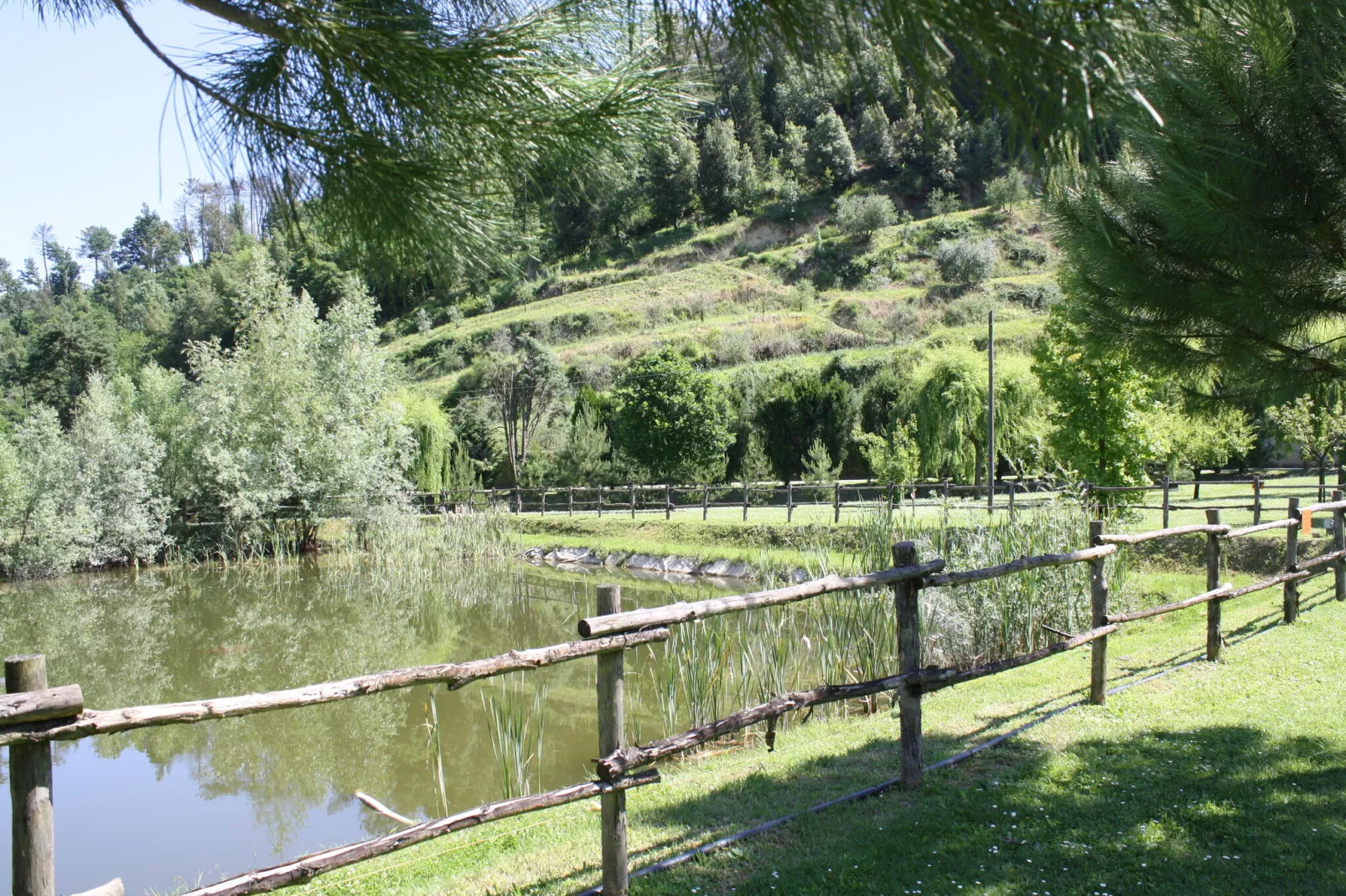 CASA ROSSA-Gebieden zomer 1km