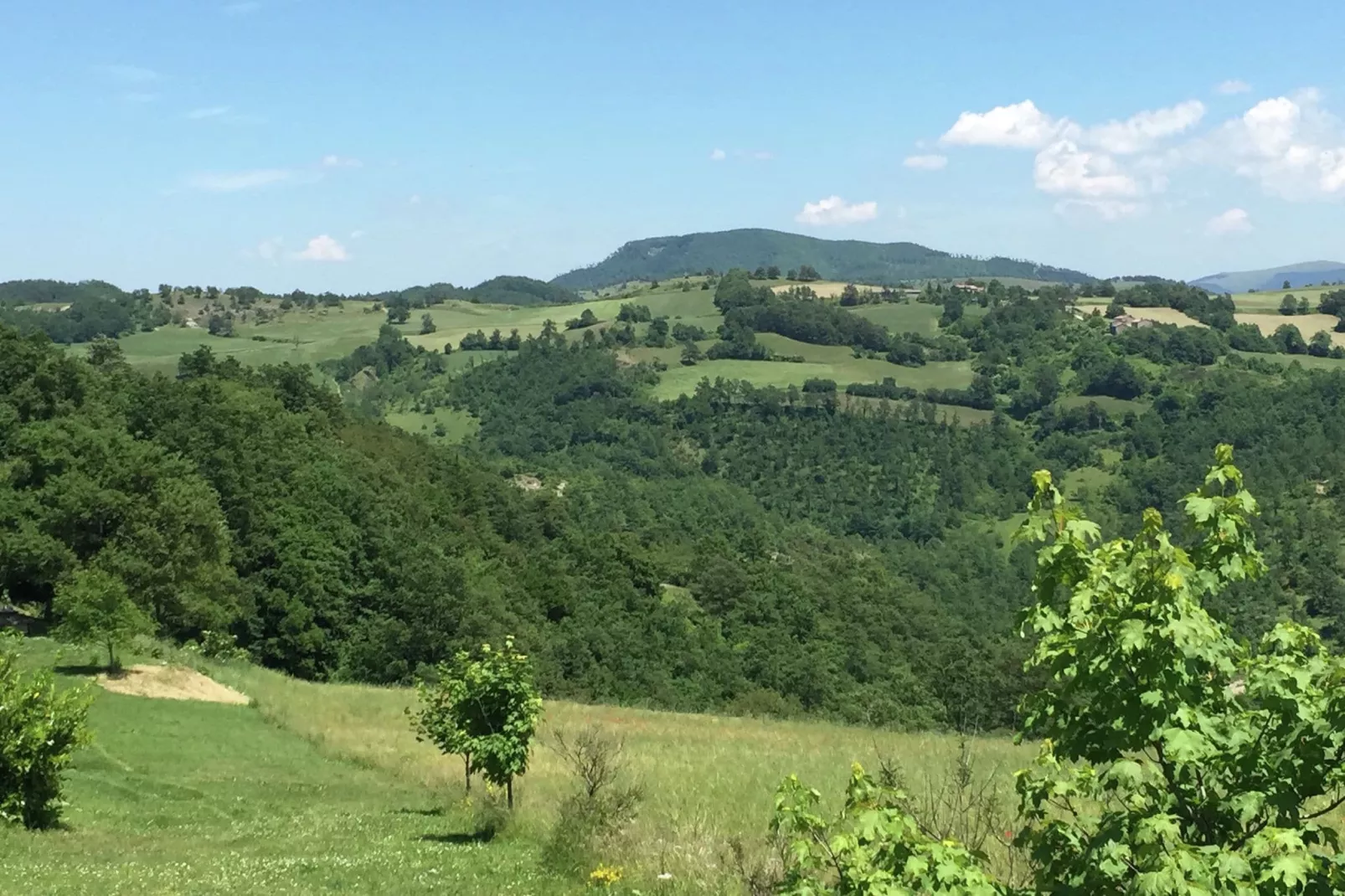 Tartufo-Uitzicht zomer