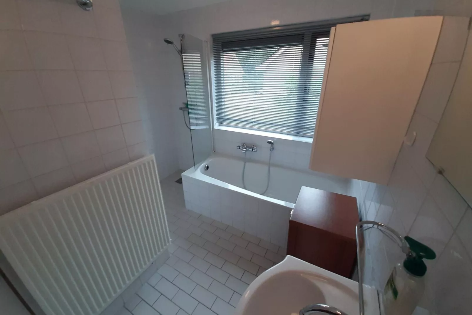 Vakantiewoning Blauw-Badkamer