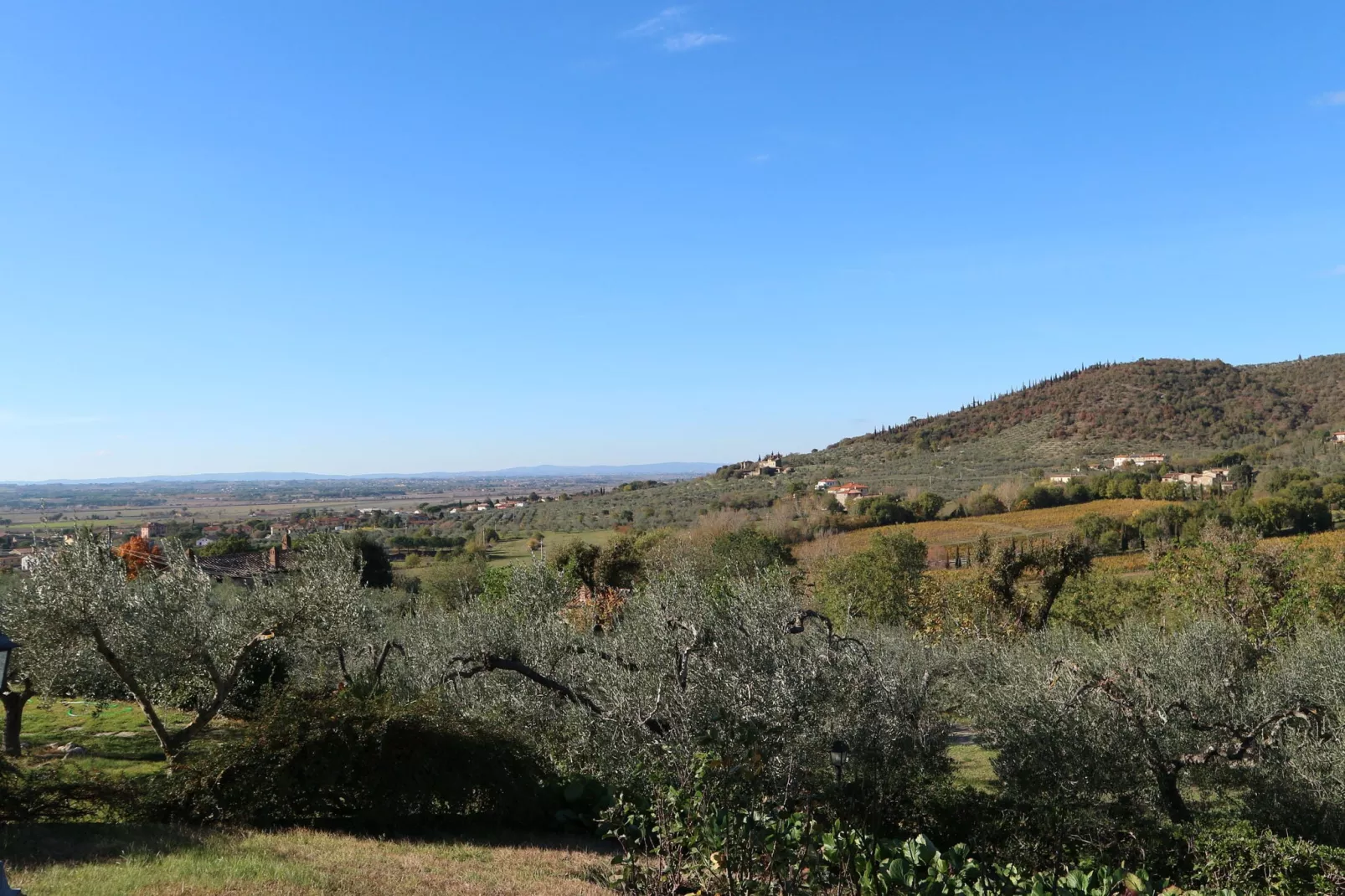 Fattoria Terontola-Uitzicht zomer