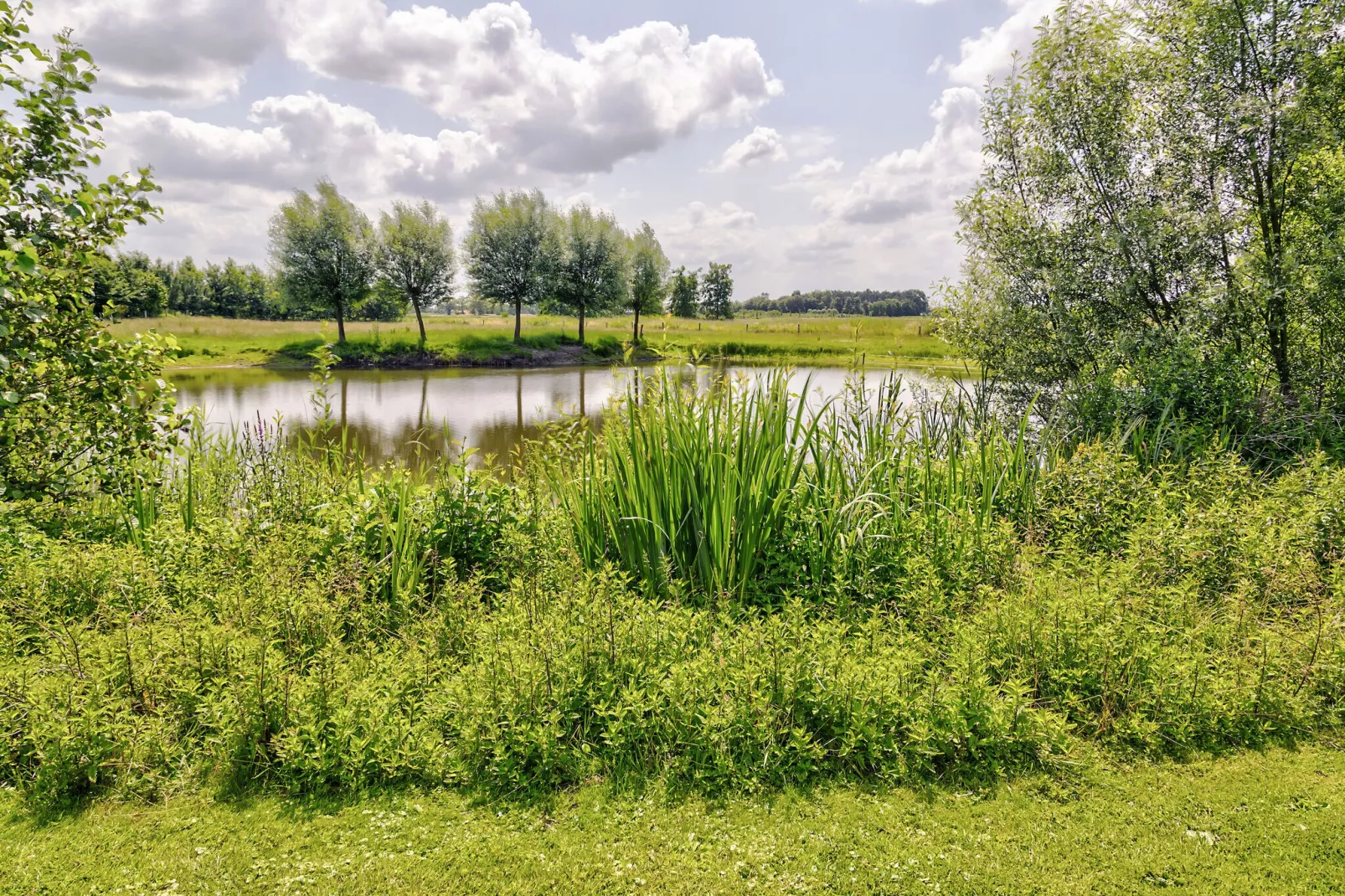 De Karkooi-Gebieden zomer 5km