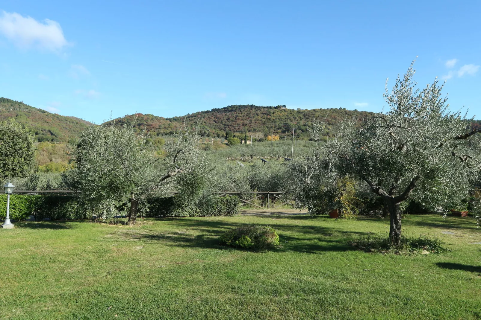 Fattoria Terontola-Tuinen zomer