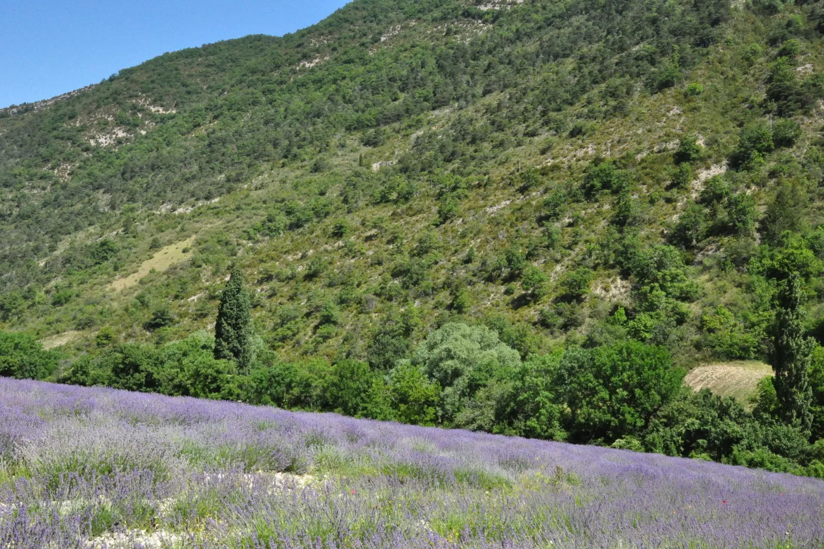 Maison Fayence-Gebieden zomer 20km