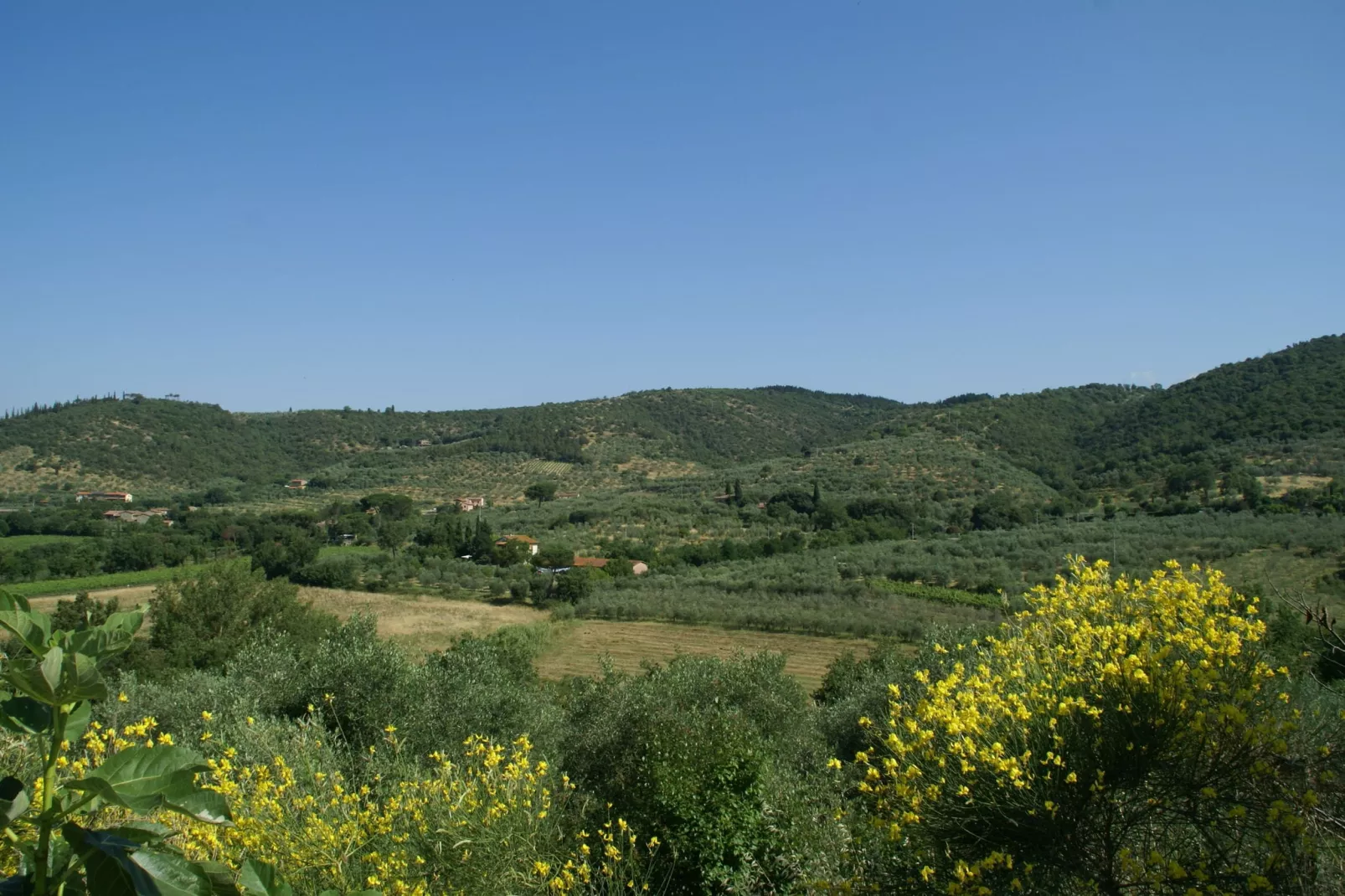 Fattoria Terontola-Gebieden zomer 1km