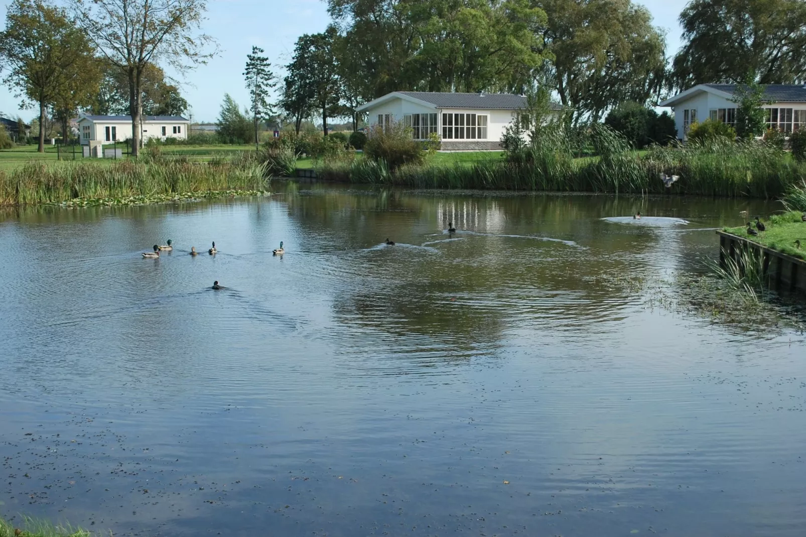 Park Westerkogge 1-Gebieden zomer 1km