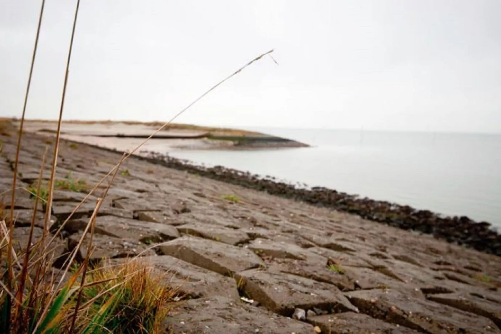 Charming Beveland-Uitzicht zomer