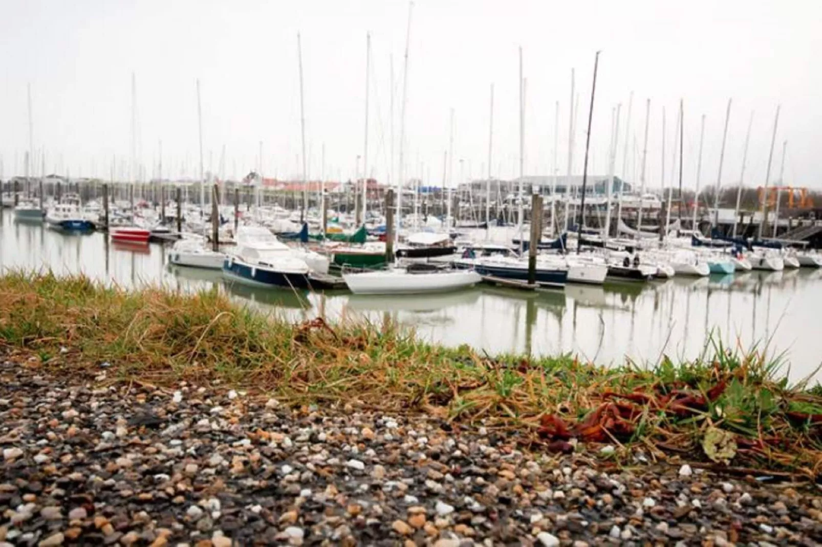 Charming Beveland-Gebieden zomer 1km