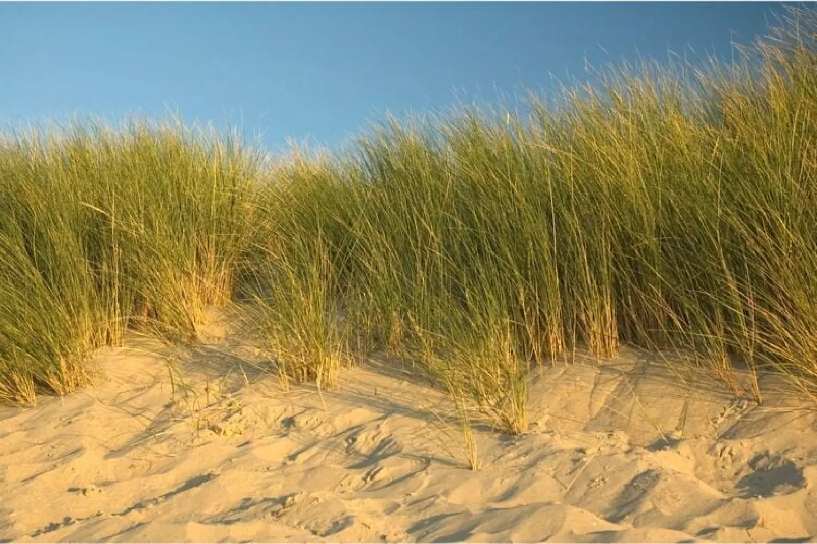 Charming Beveland-Gebieden zomer 5km