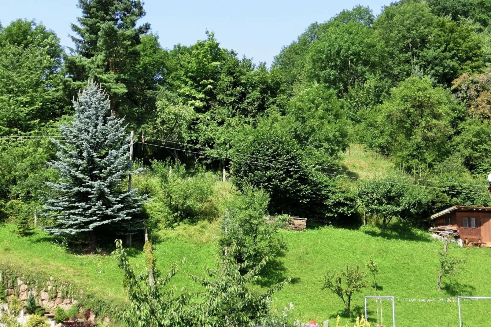 Floh-Seligenthal-Tuinen zomer