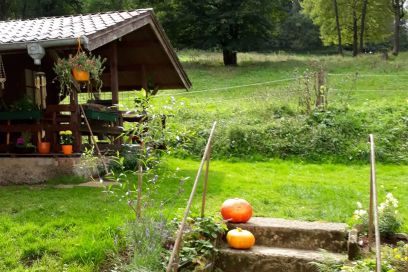 Ferienparadies am Rennweg-Uitzicht zomer