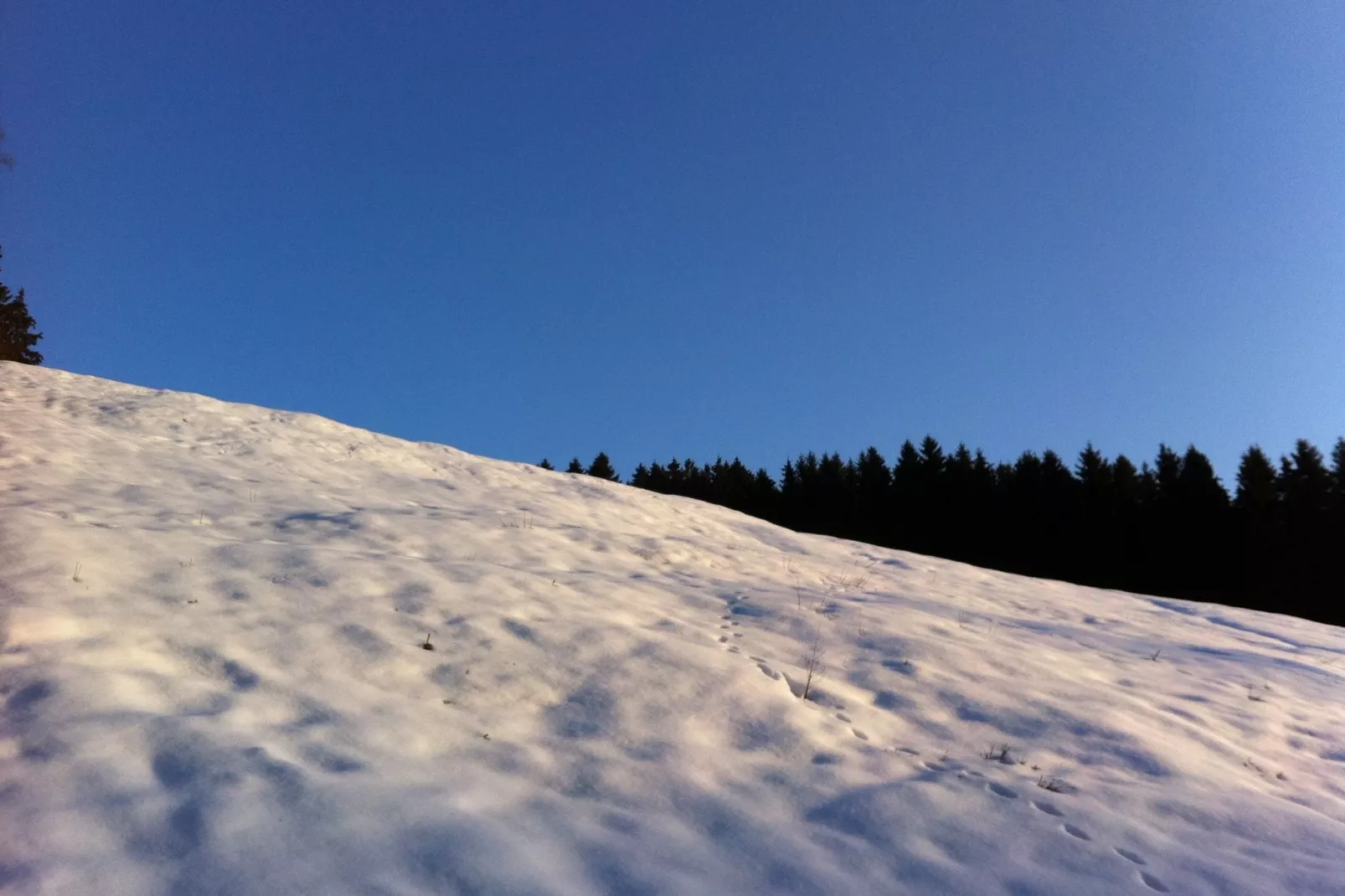 Le Goût du Bonheur-Gebied winter 1km