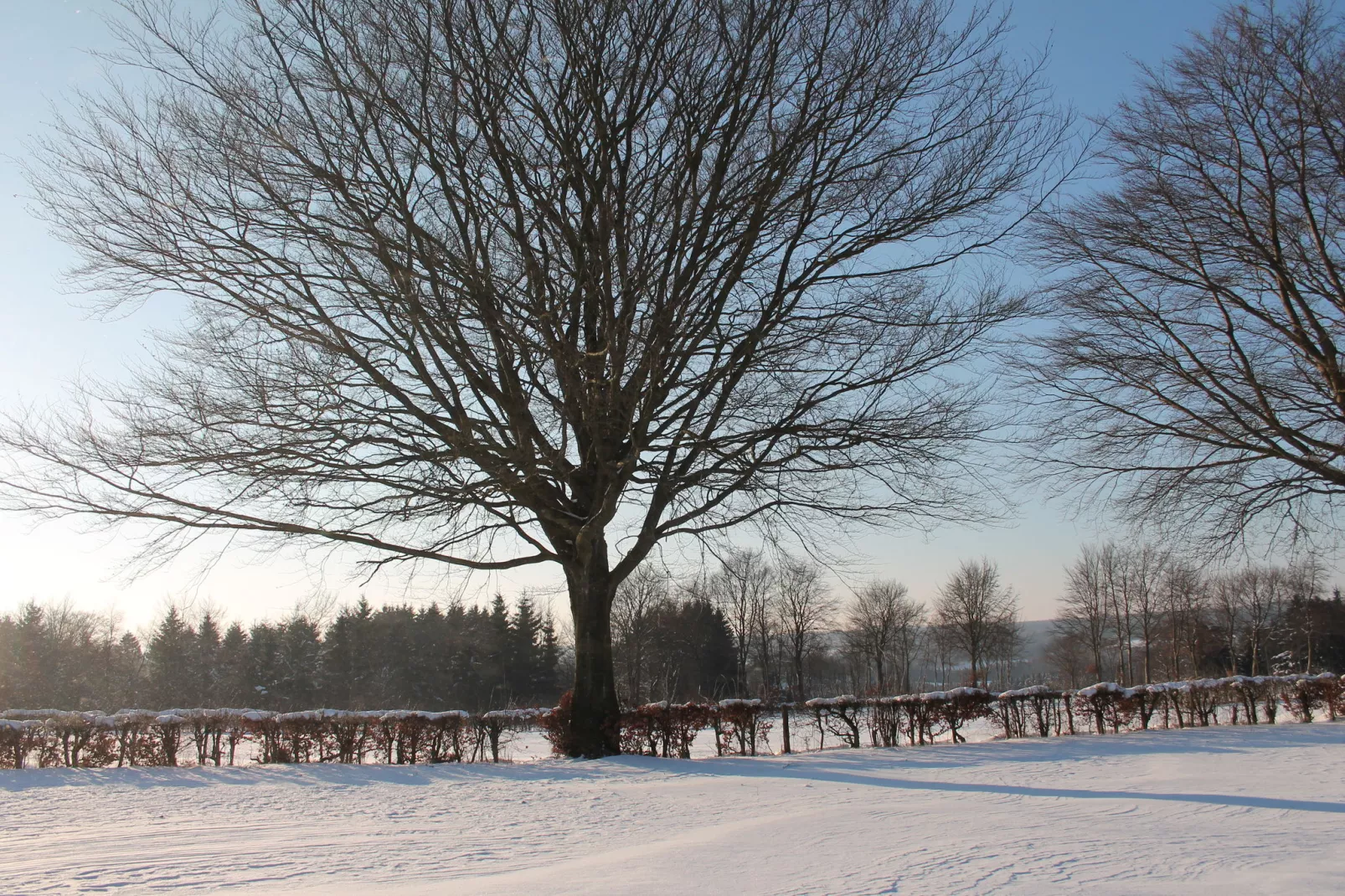 Le Goût du Bonheur-Gebied winter 1km