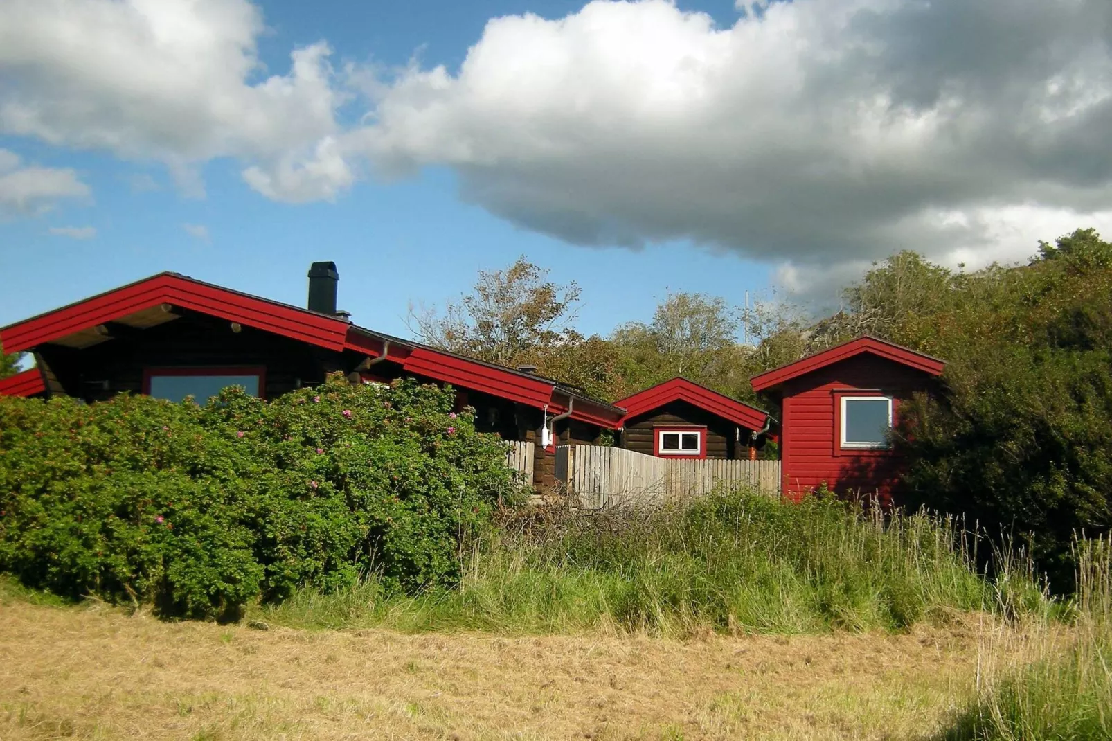 9 persoons vakantie huis in HÄLLEVIKSSTRAND-Buitenlucht