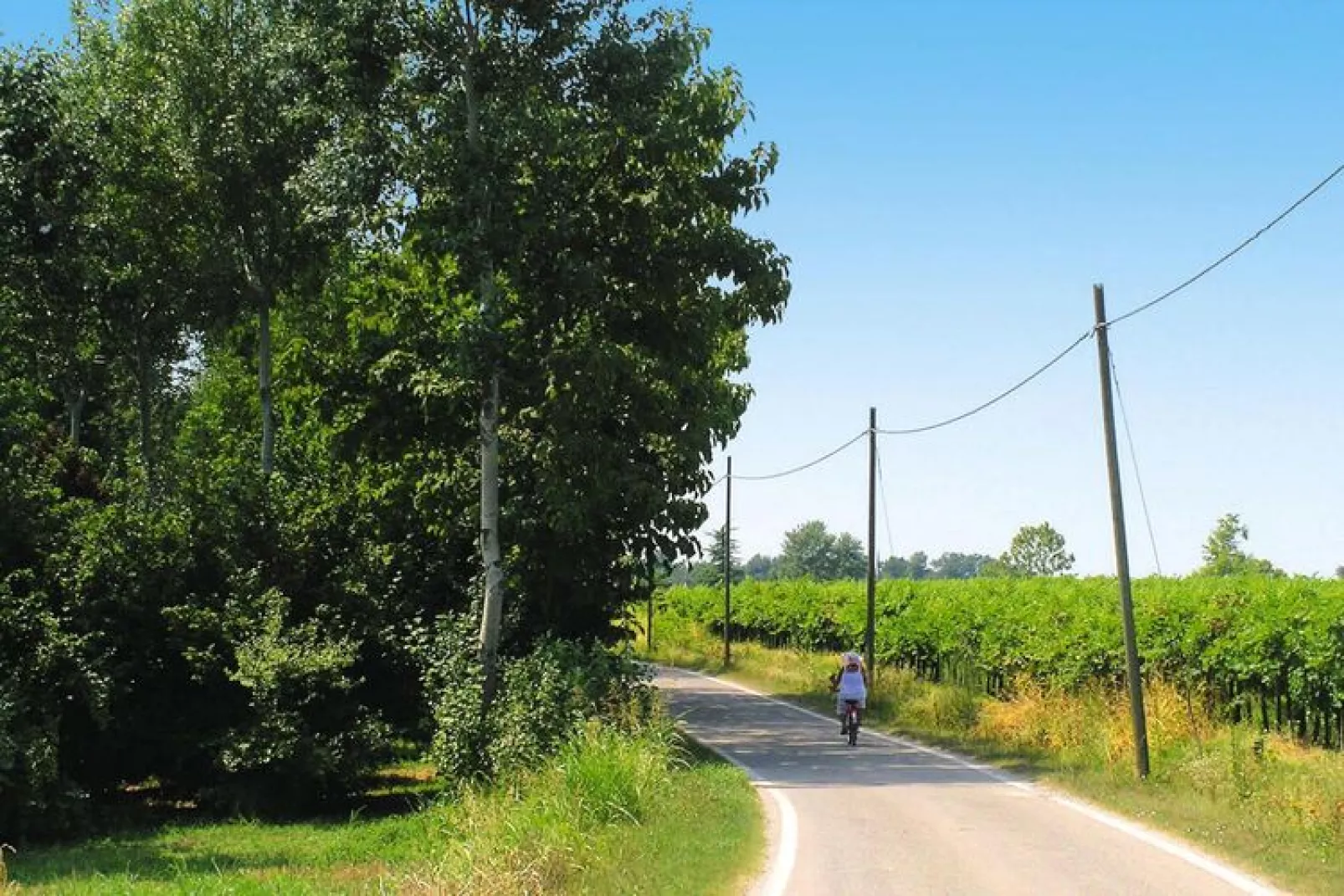 Residence La Casa del Nonno, Monzambano-trilo 6 pax-Tuinen zomer