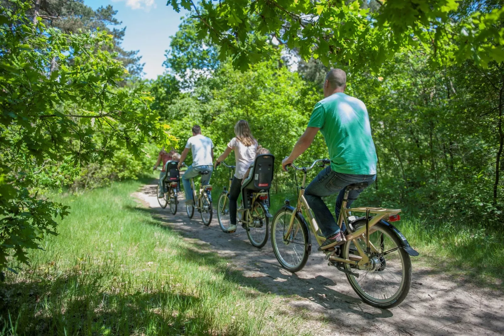 Vakantiepark de Katjeskelder 2-Gebieden zomer 1km