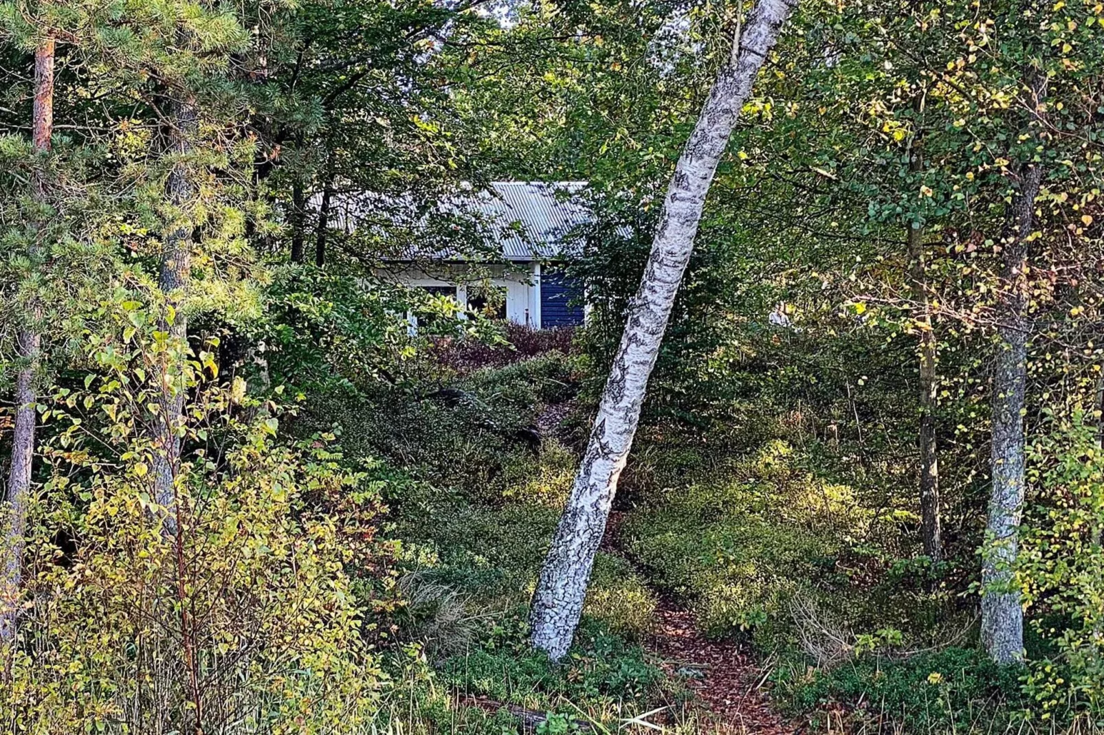 4 persoons vakantie huis in SKÅNES-FAGERHULT-Buitenlucht