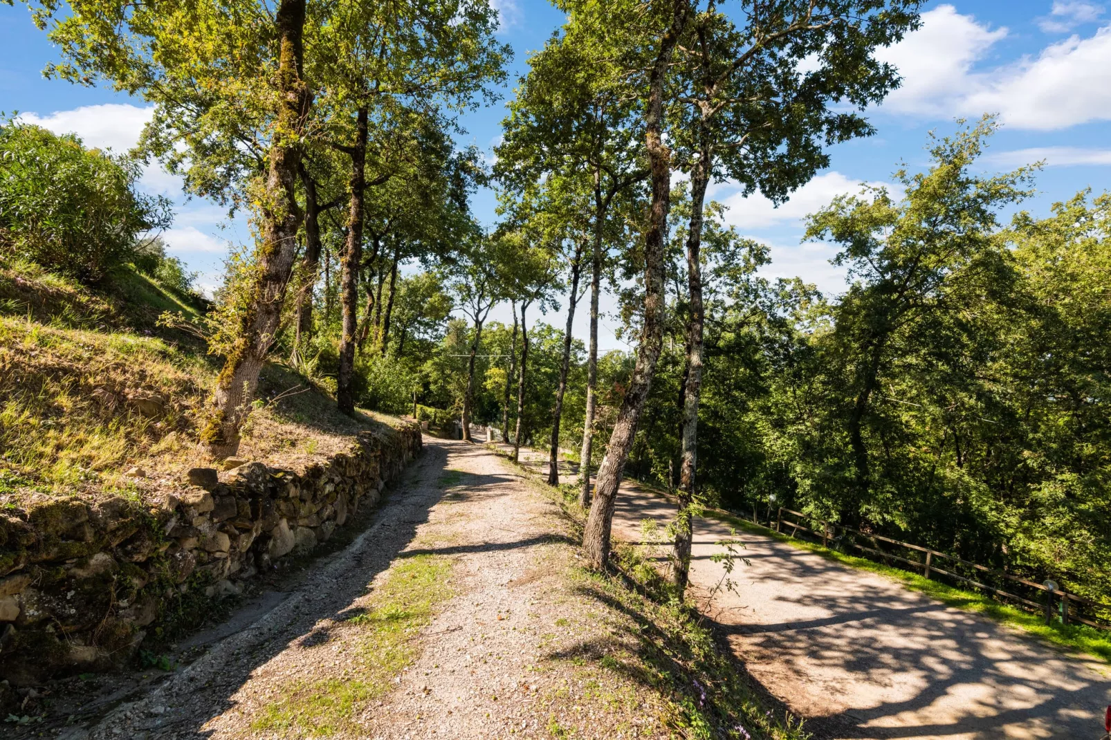 La Rocca Residence-Gebieden zomer 1km