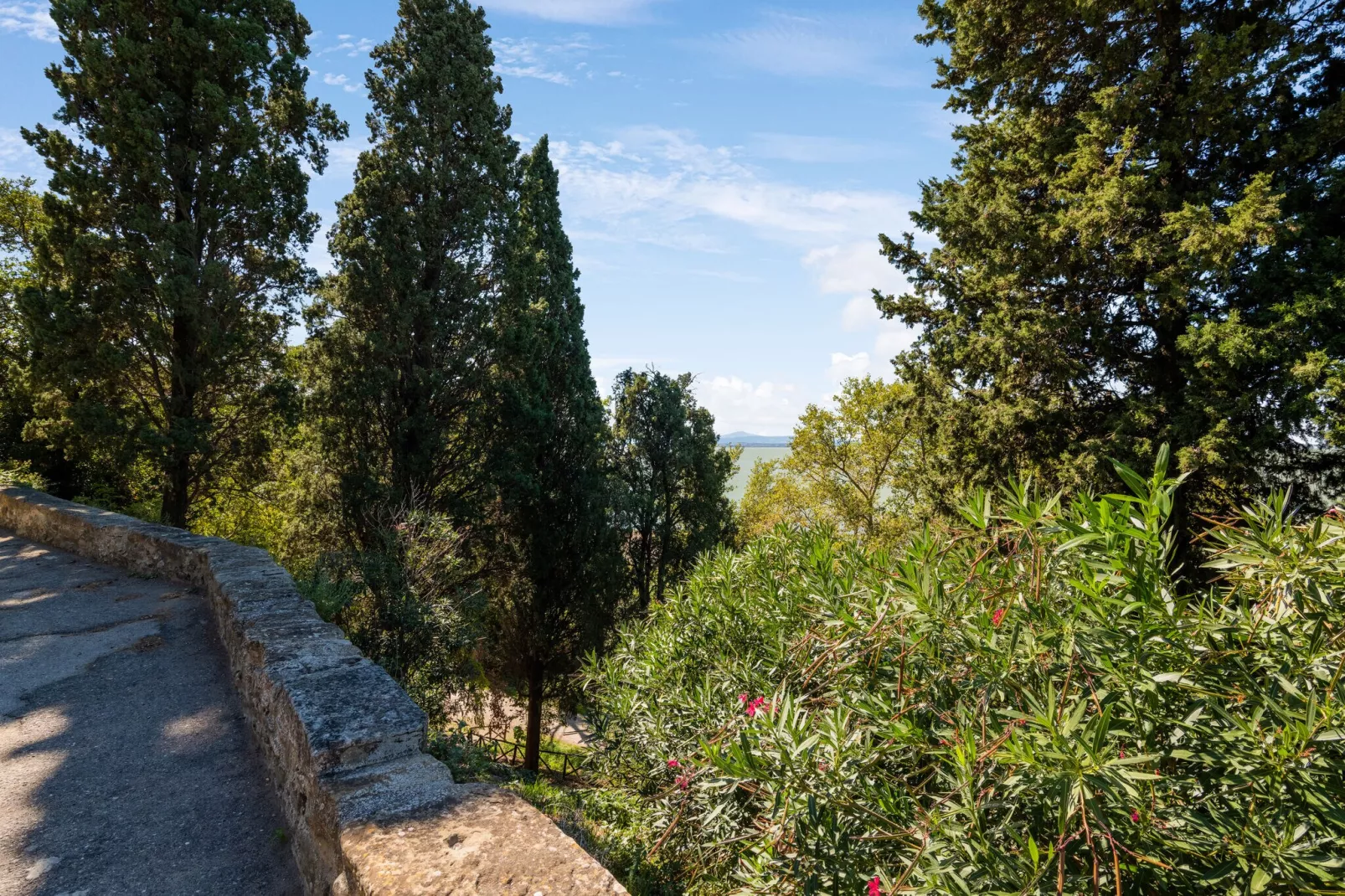 La Rocca Residence-Gebieden zomer 5km