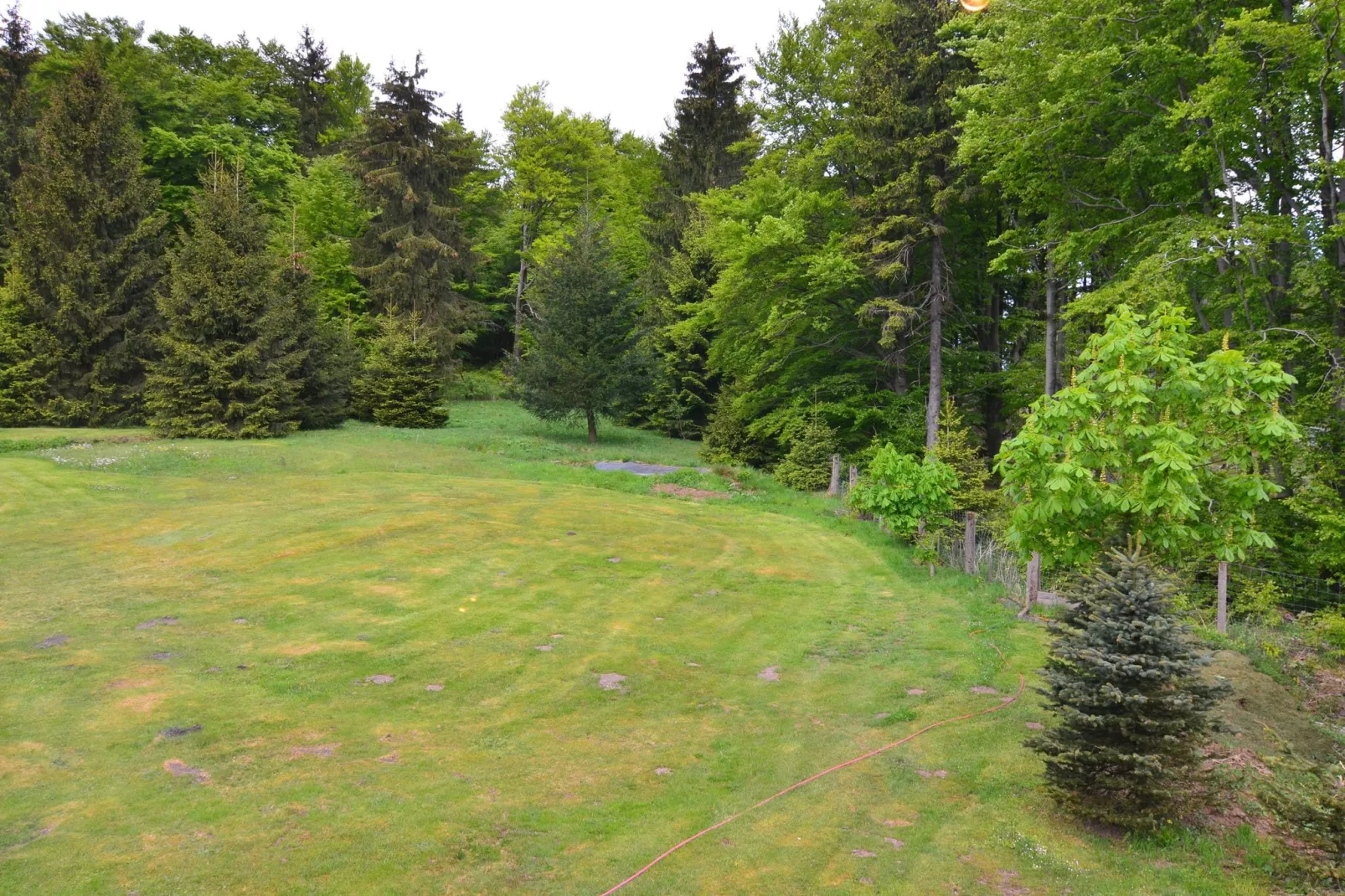 Kleiner Inselsberg-Uitzicht zomer