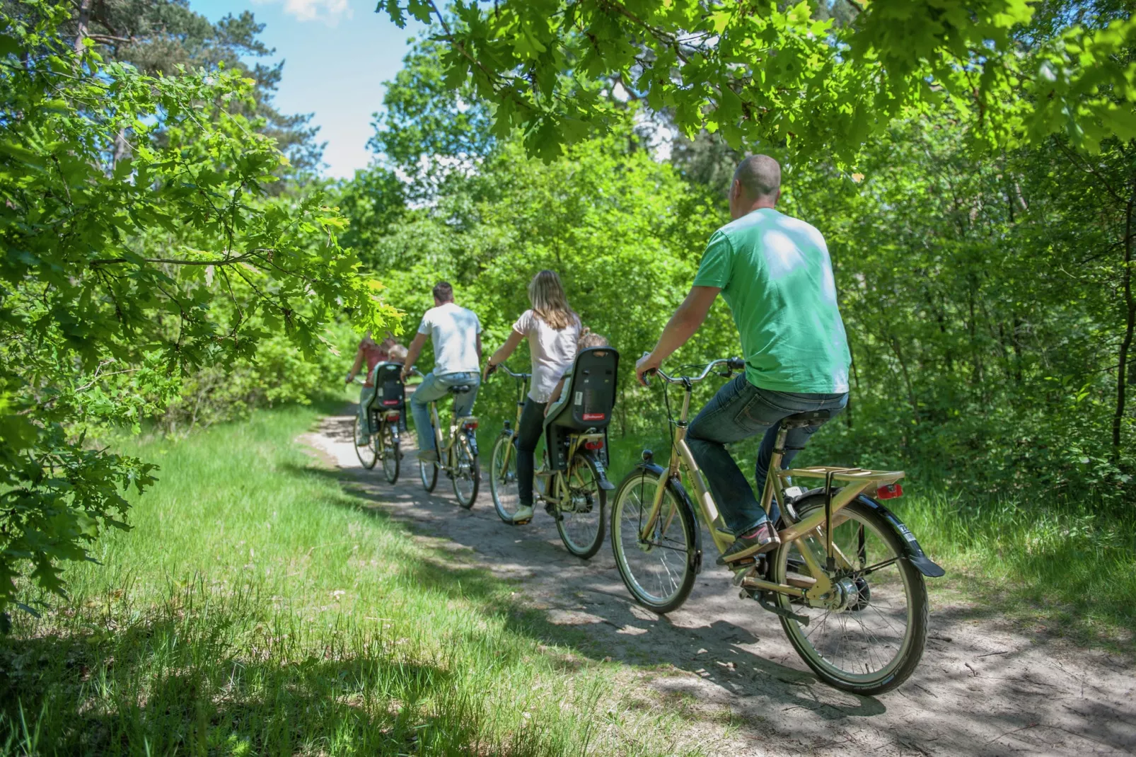 Vakantiepark de Katjeskelder 4-Gebieden zomer 1km