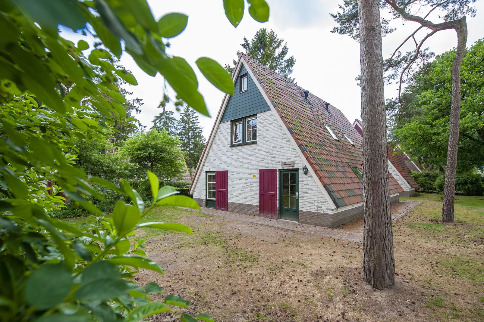 Vakantiepark de Katjeskelder 8-Buitenkant zomer