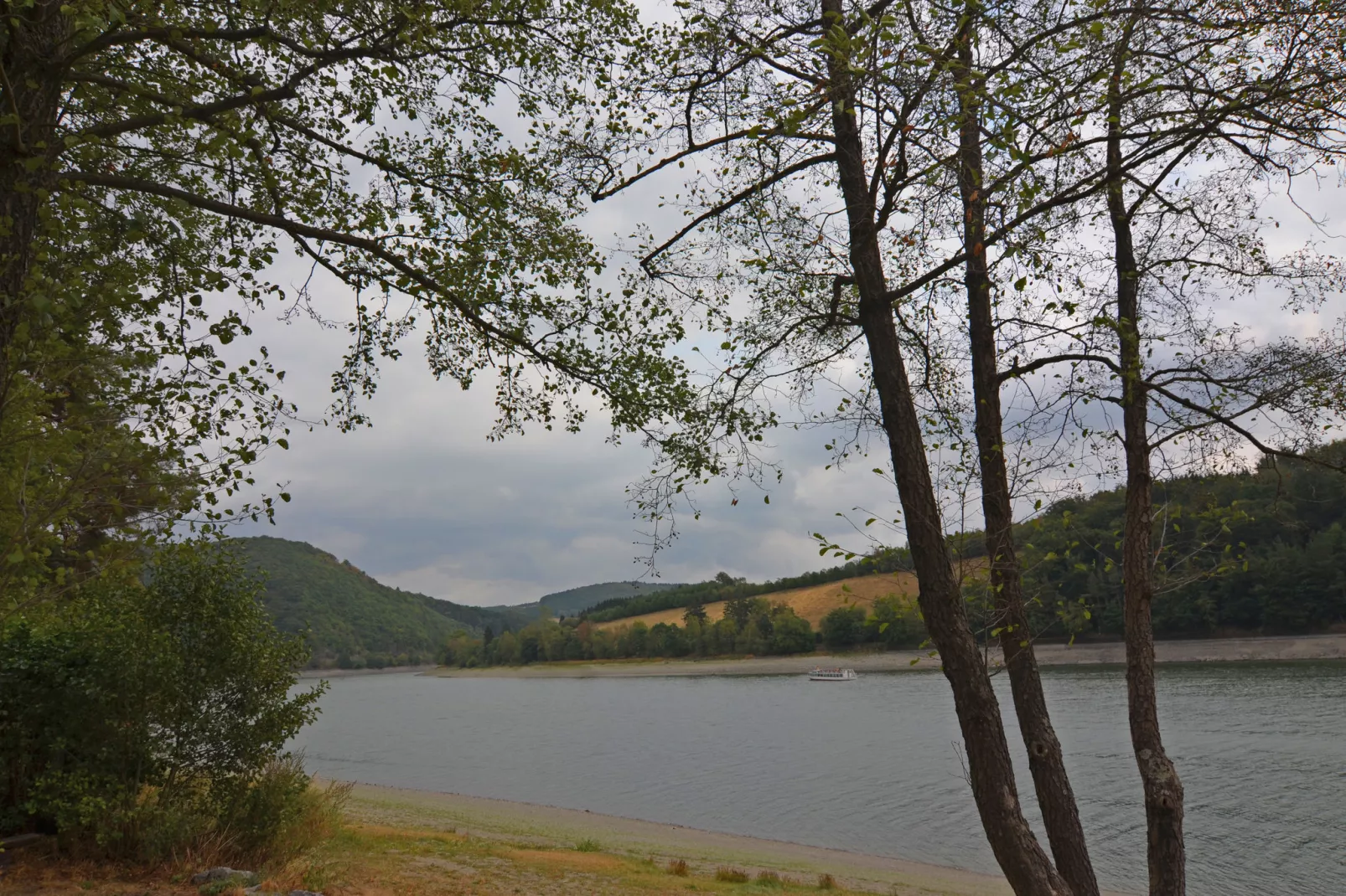 Am Weiher-Gebieden zomer 1km