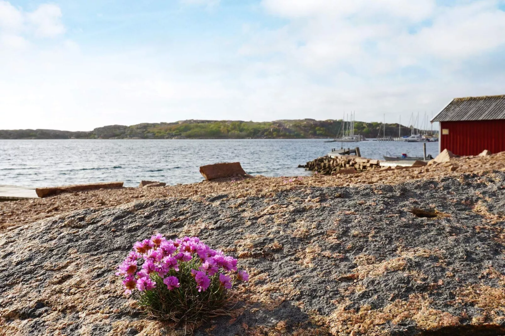 6 persoons vakantie huis in Bovallstrand-Uitzicht