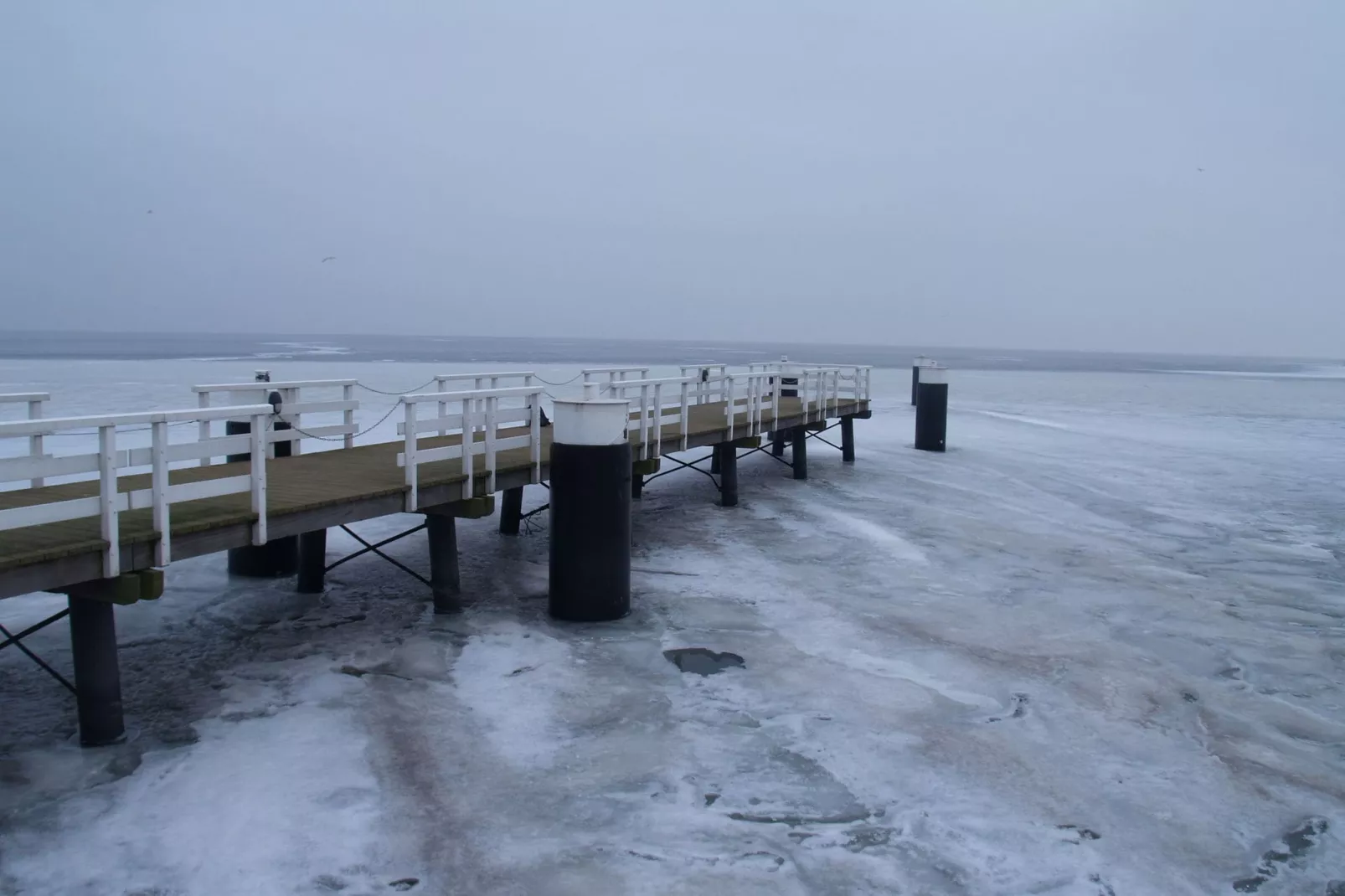 Resort Ijsselmeer 1-Gebied winter 1km