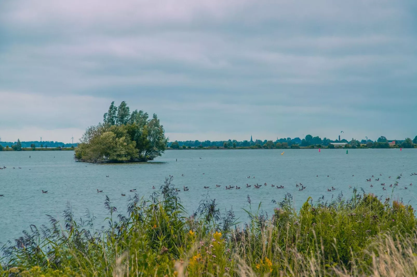 Resort Ijsselmeer 1-Gebieden zomer 5km