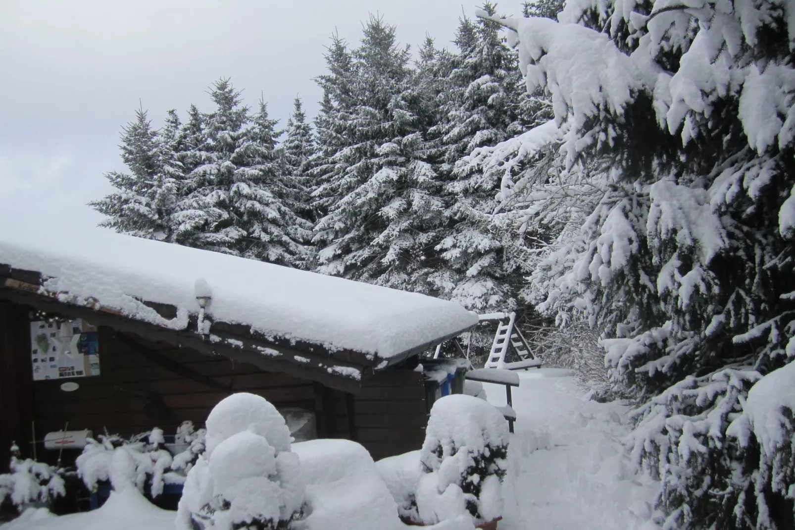 Kellerwald Hütte-Uitzicht winter