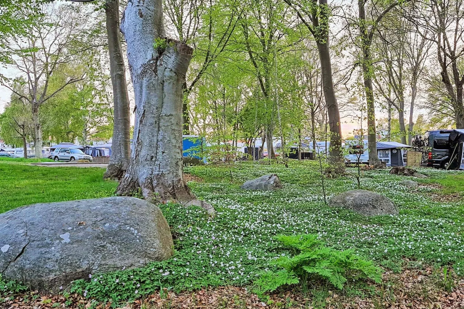 5 persoons vakantie huis in SÖLVESBORG-By Traum-Niet-getagd