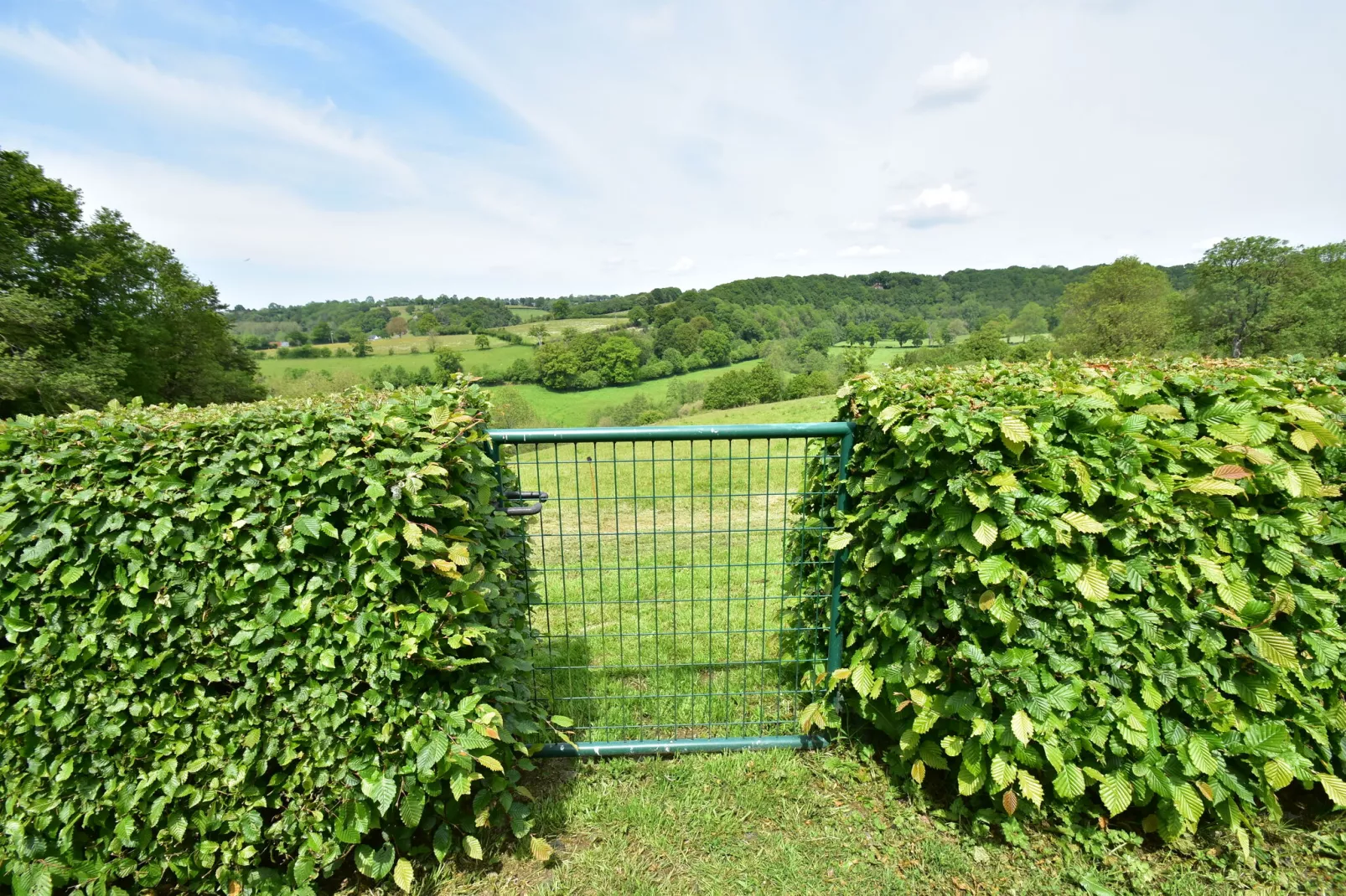 Maison de vacances Sourdeval les Bois-Tuinen zomer