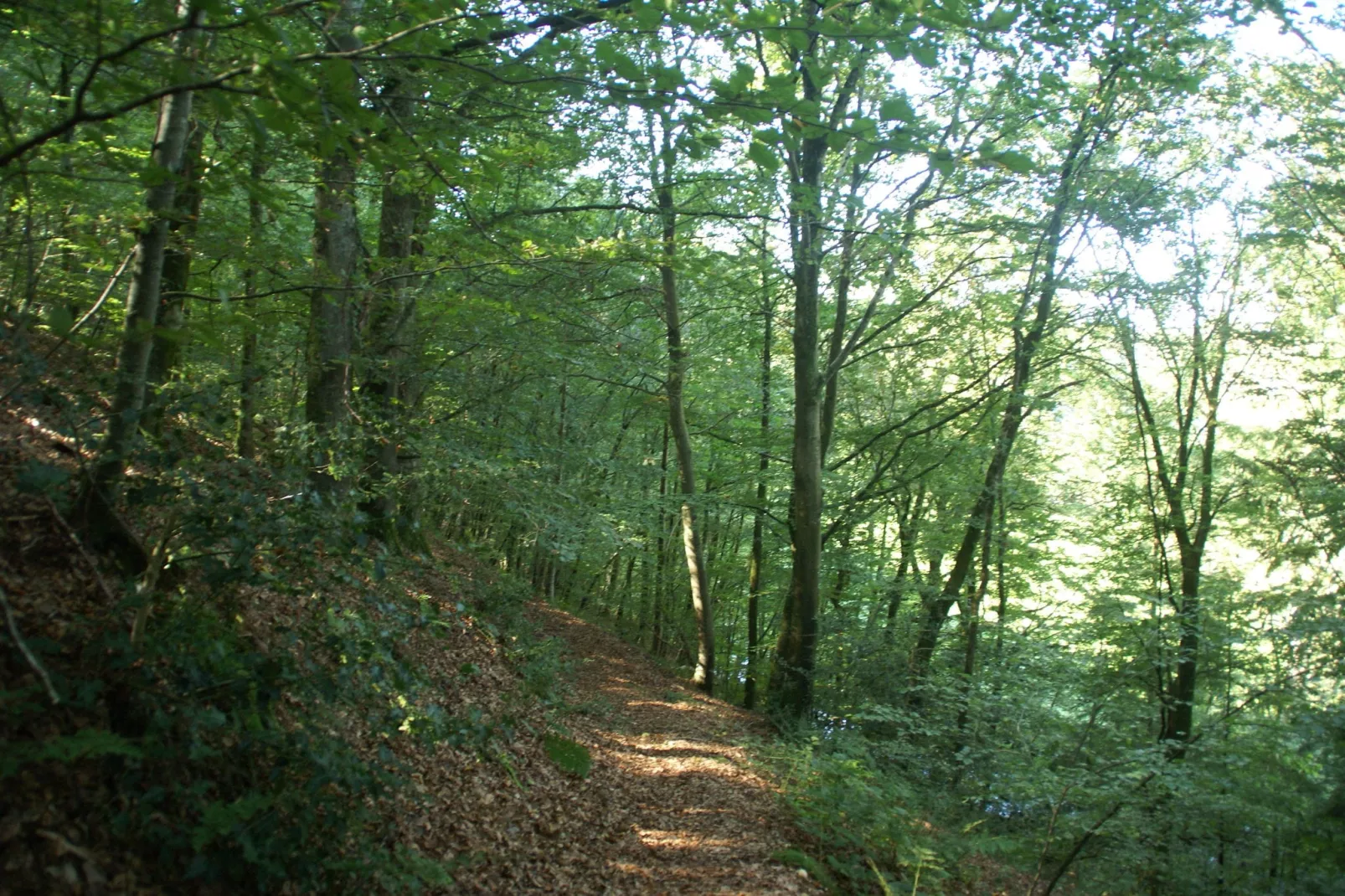 Maison de vacances Sourdeval les Bois-Gebieden zomer 1km