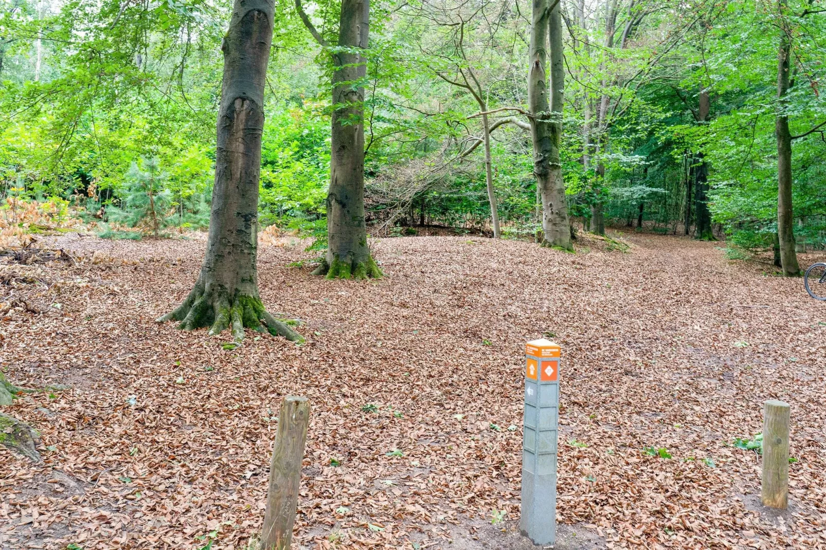 Genieten in Lunteren-Gebieden zomer 1km