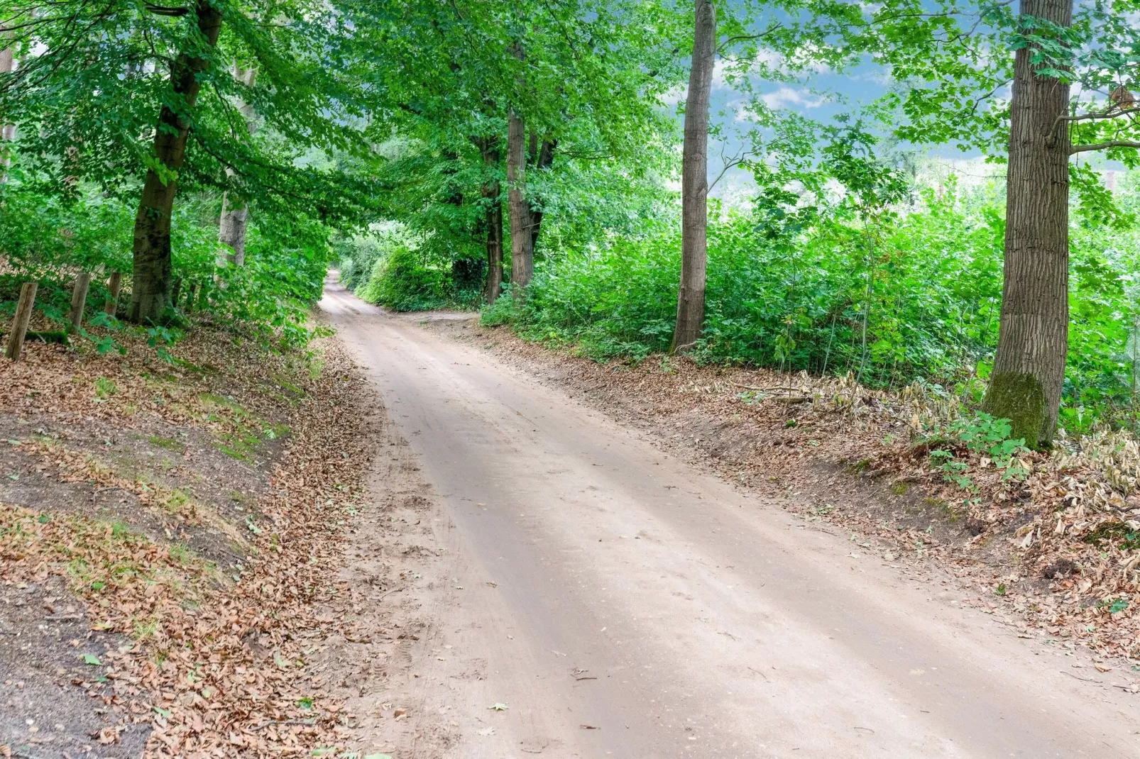 Genieten in Lunteren-Gebieden zomer 1km