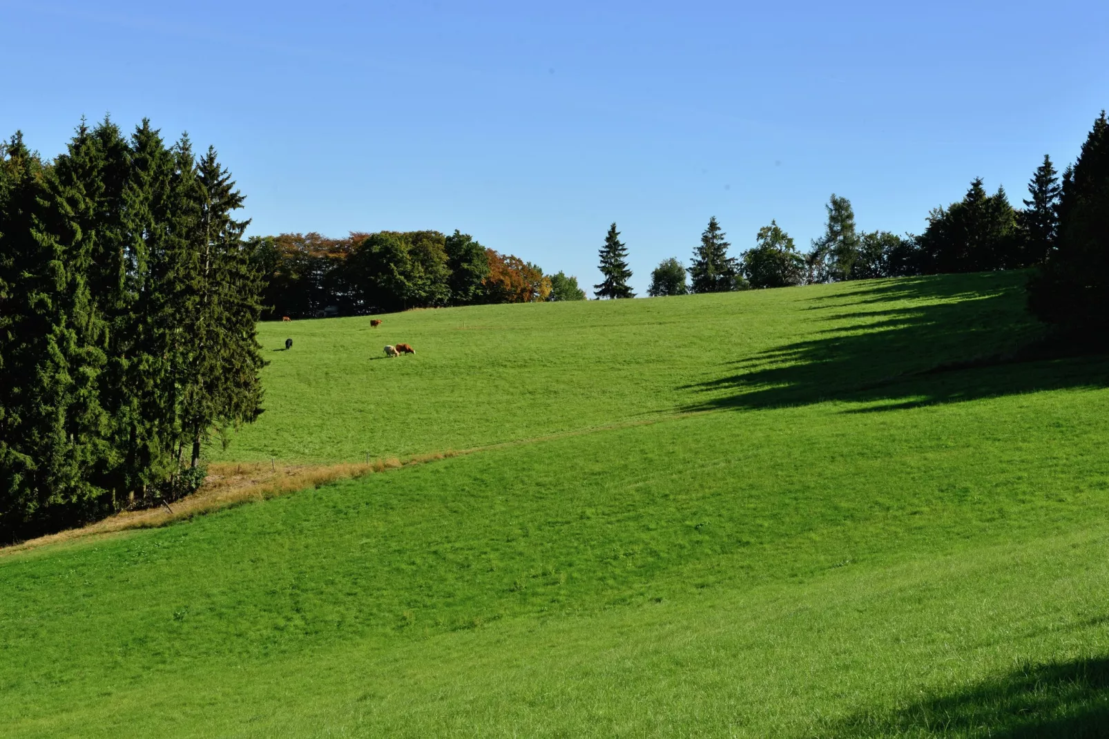 Willingen-Gebieden zomer 5km