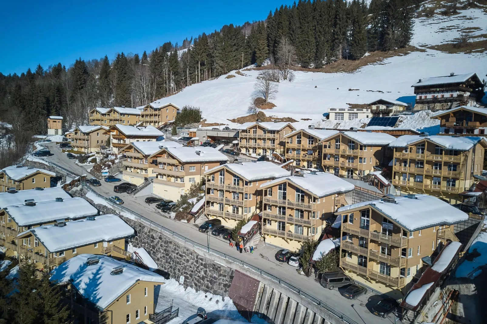Alpine Apartment Classic 3-Exterieur winter
