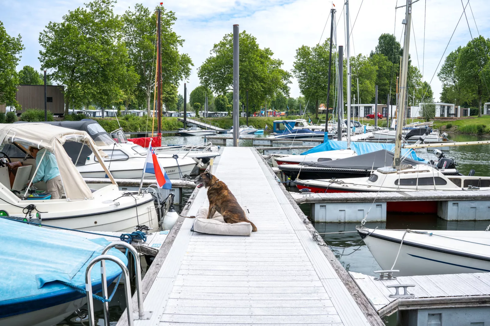 MarinaPark Bad Nederrijn 1-Parkfaciliteiten