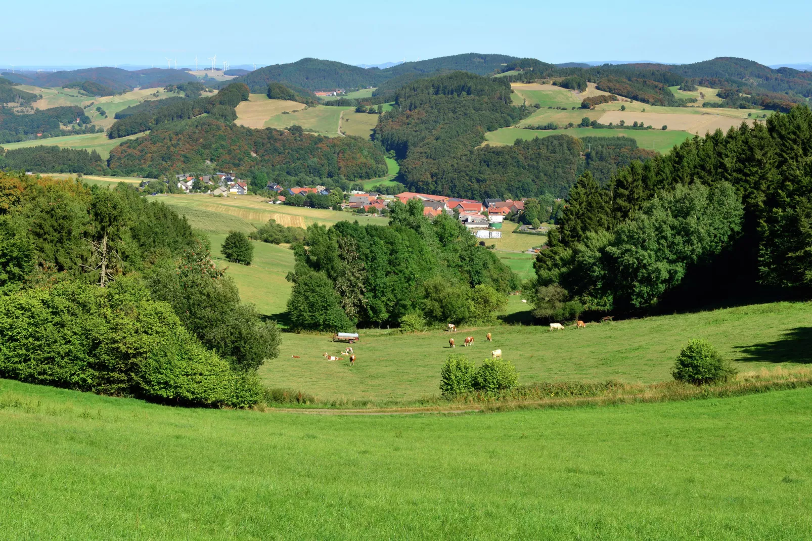 Willingen-Gebieden zomer 20km