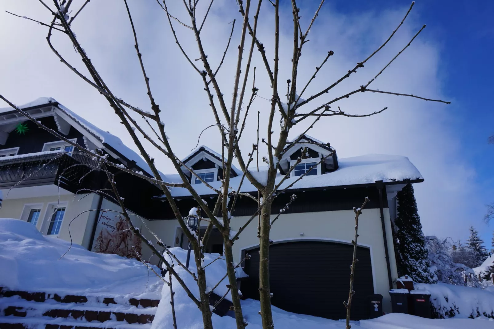 Am Thüringer Rennsteig-Exterieur winter