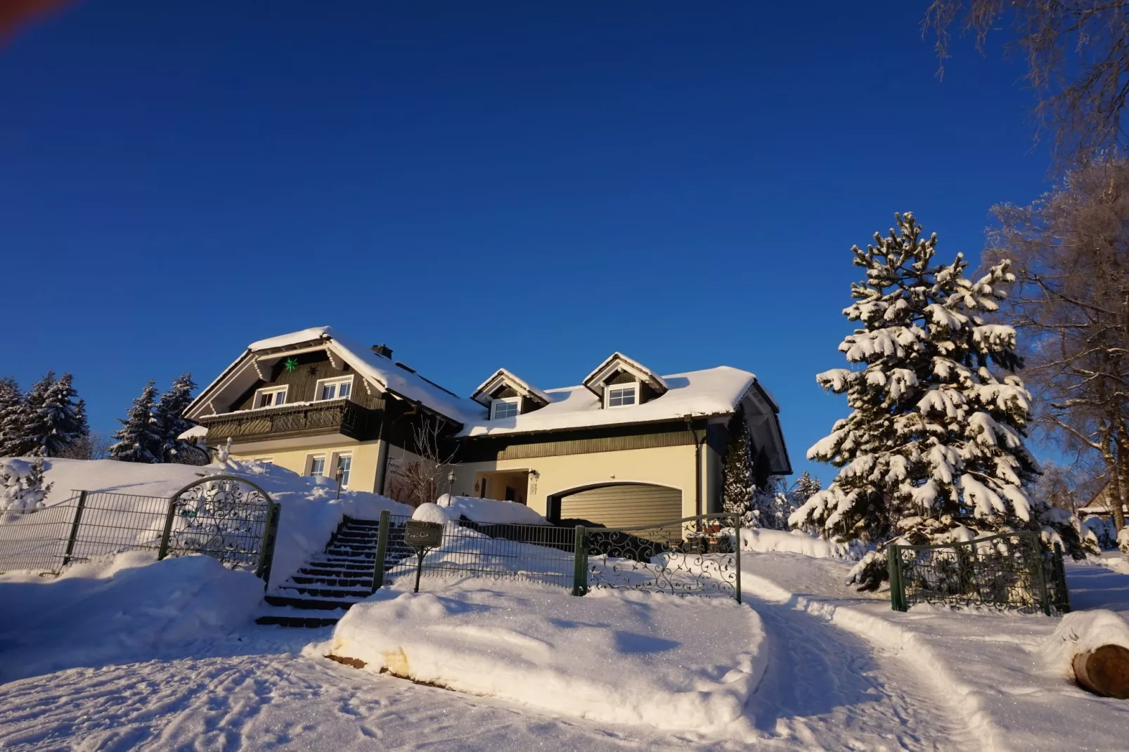 Am Thüringer Rennsteig-Exterieur winter