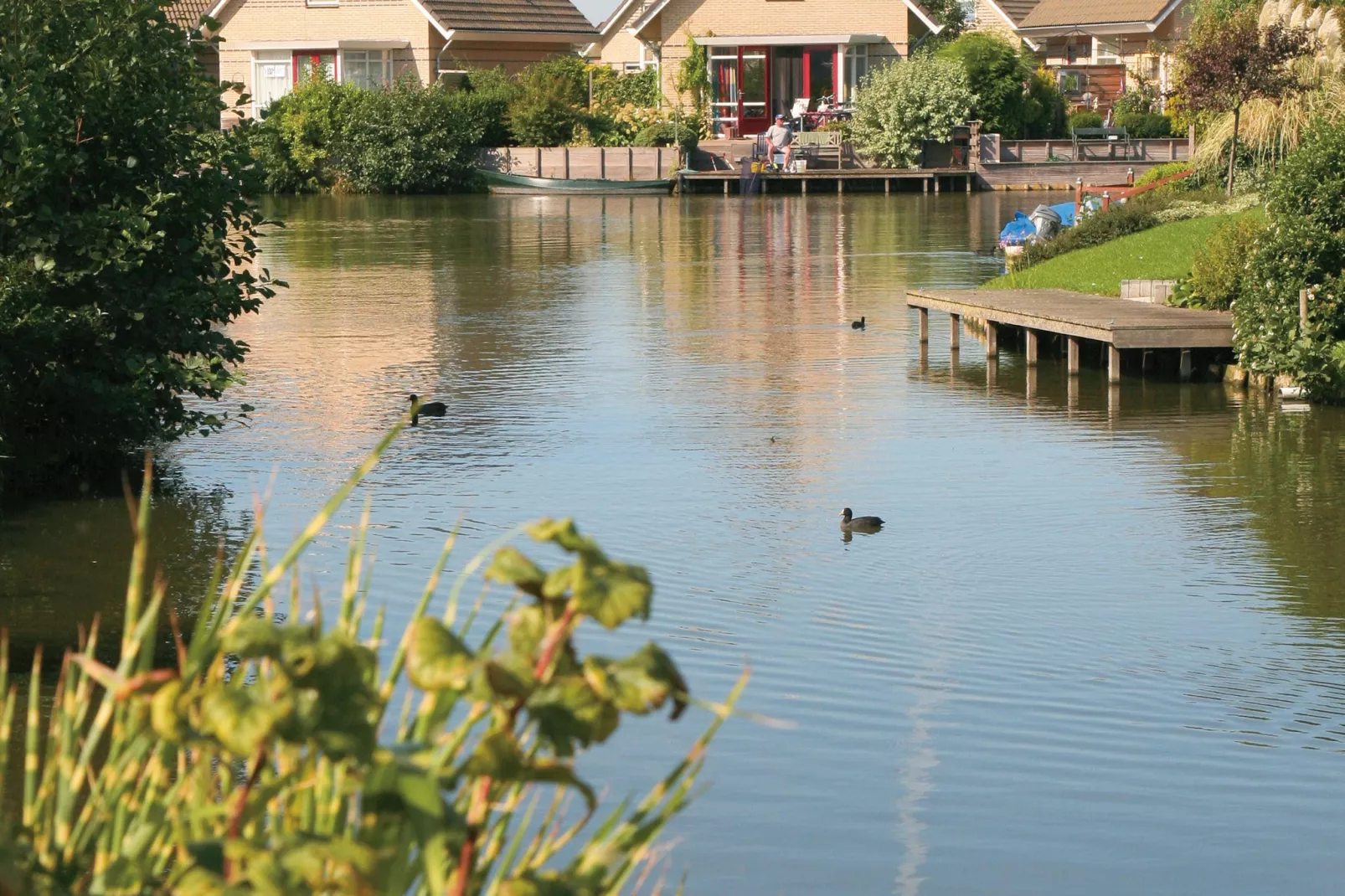 Resort Ijsselmeer 3-Buitenkant zomer