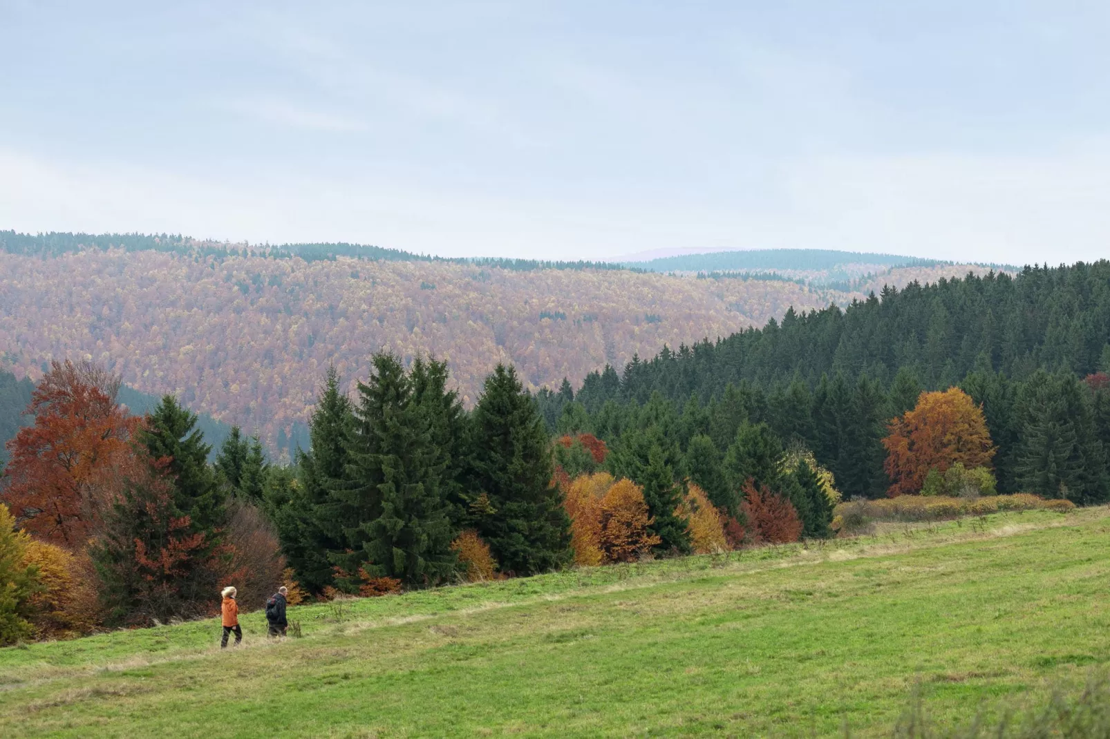 Am Thüringer Rennsteig-Gebieden zomer 5km